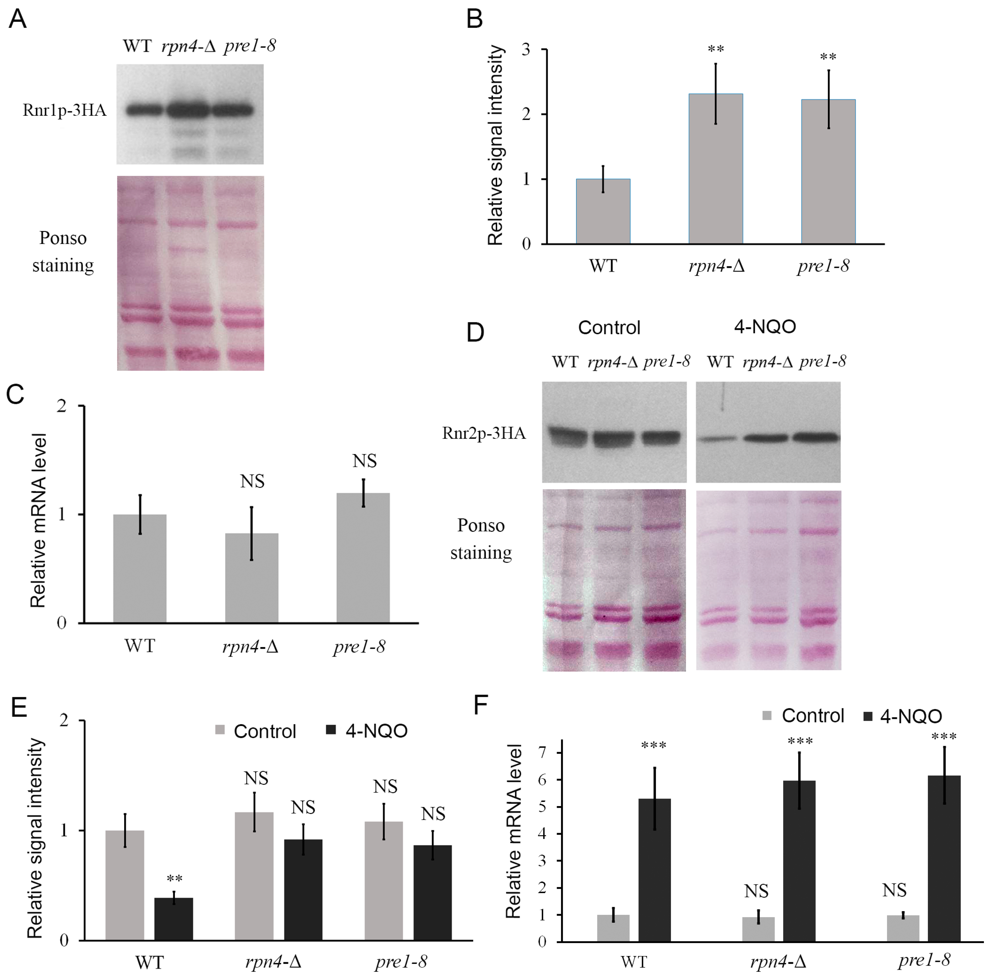 Ijms 25 03977 g001 Ijms 25 03977 g001