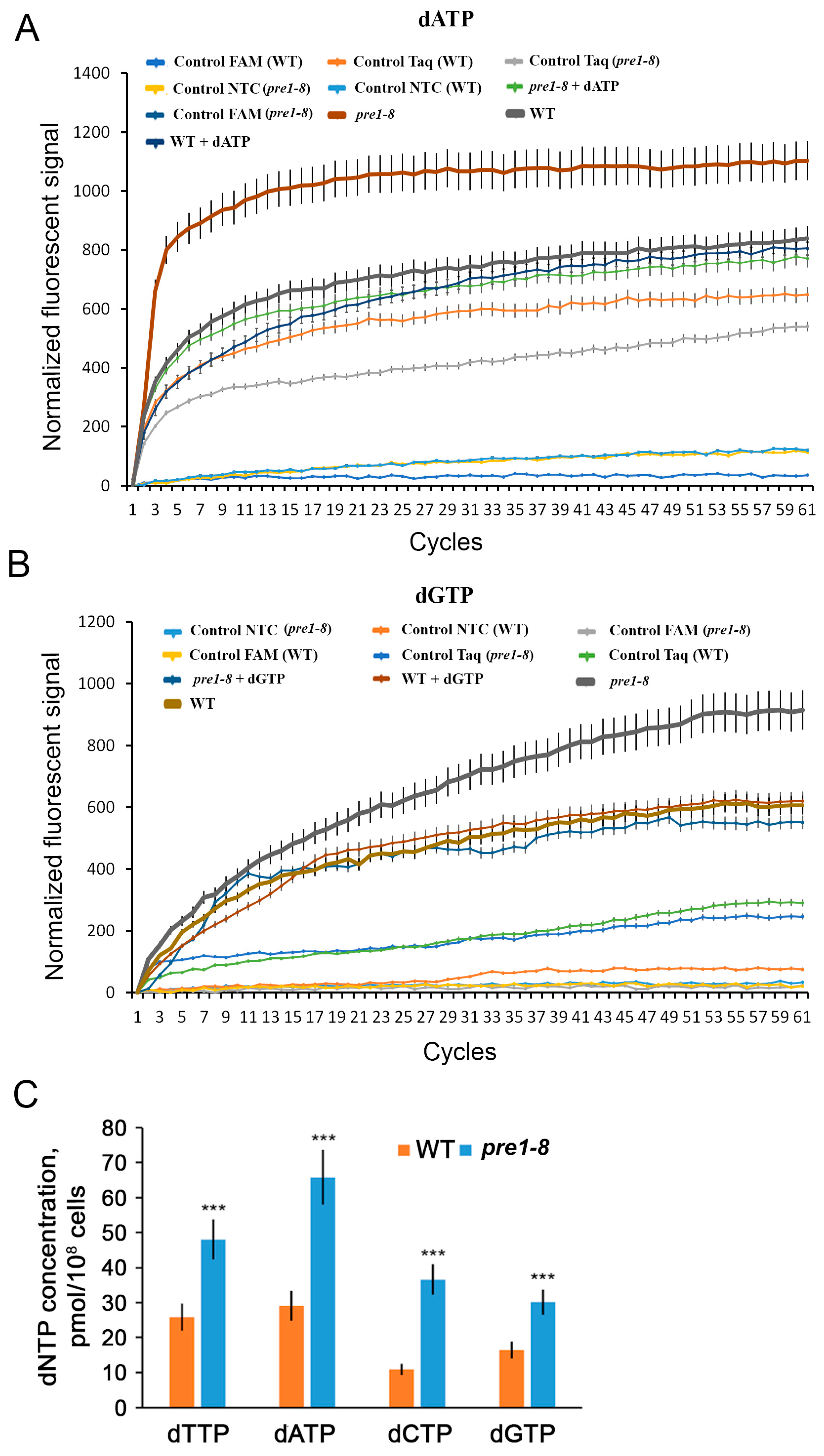 Ijms 25 03977 g002 Ijms 25 03977 g002