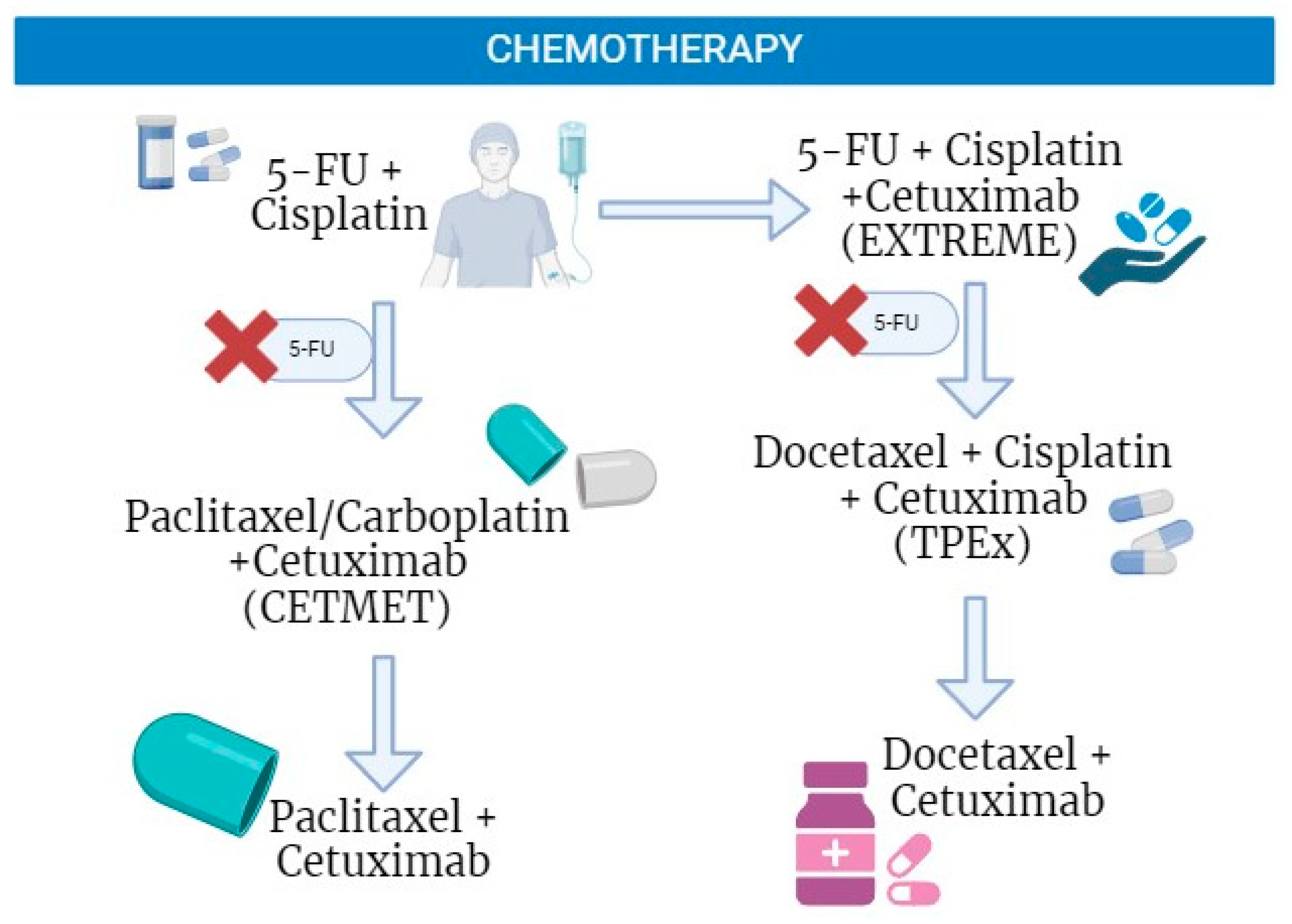 Ijms 25 04009 g002 Ijms 25 04009 g002