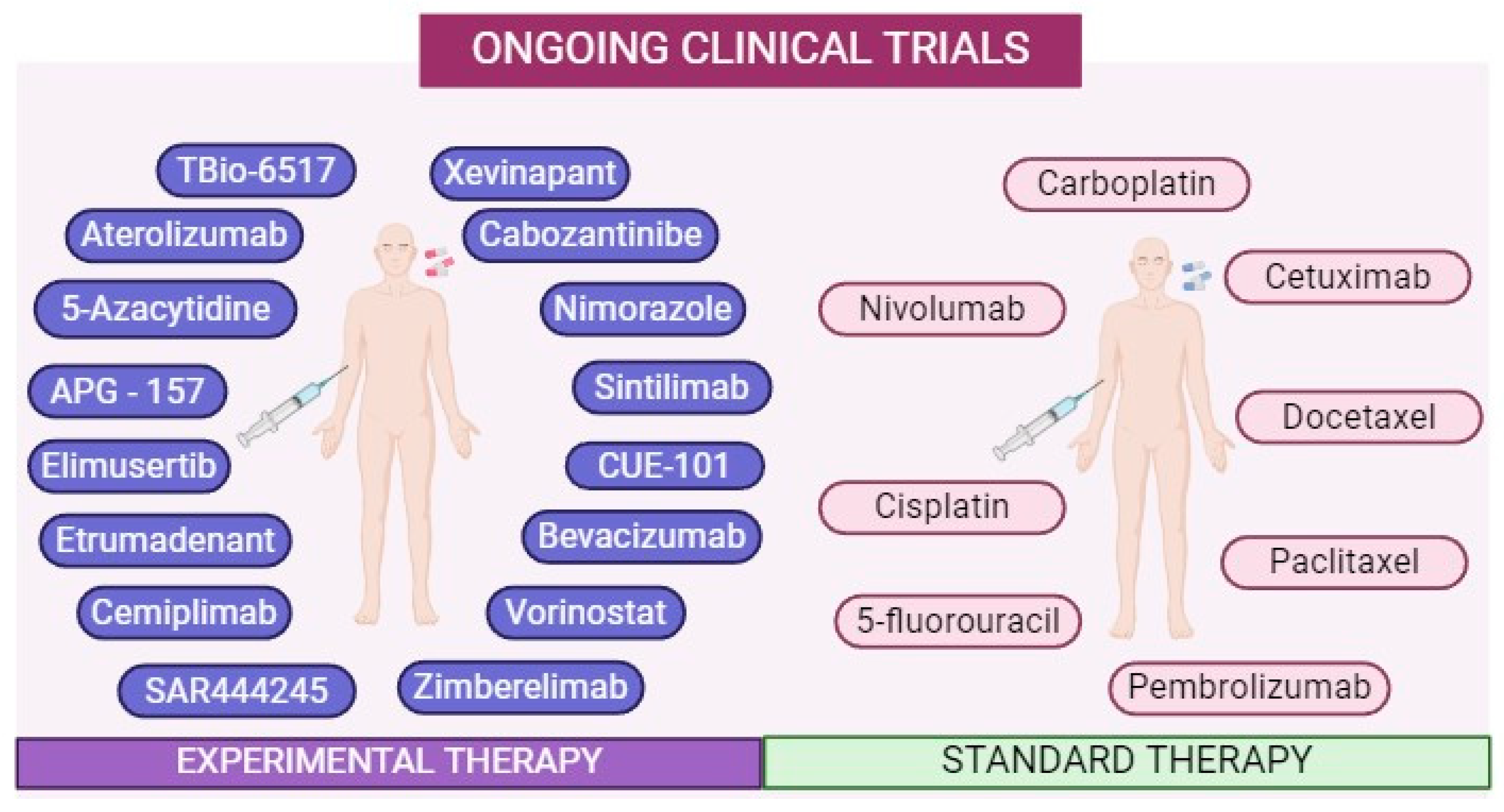 Ijms 25 04009 g004 Ijms 25 04009 g004