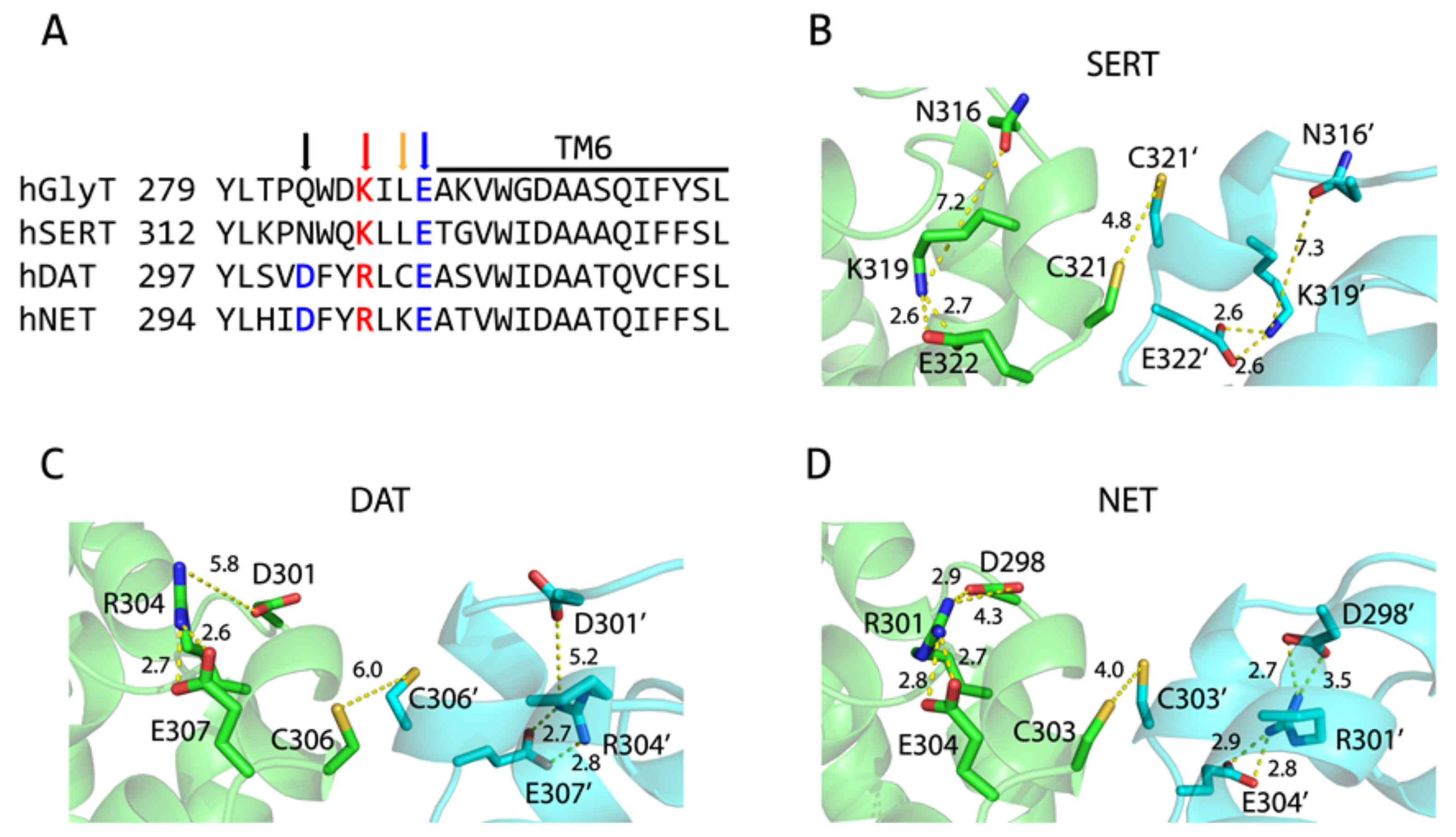 Ijms 25 04032 g001 Ijms 25 04032 g001