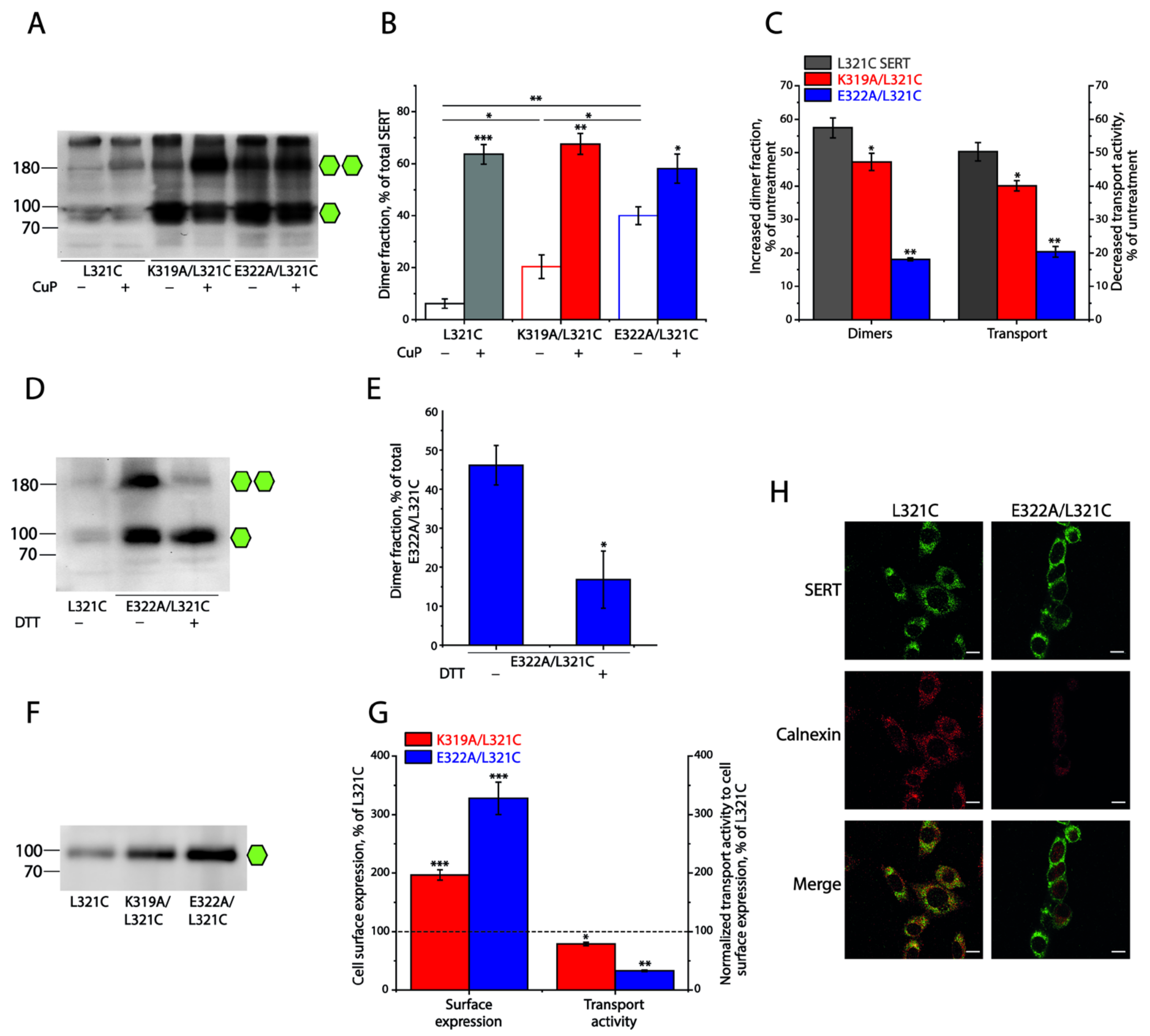 Ijms 25 04032 g003 Ijms 25 04032 g003