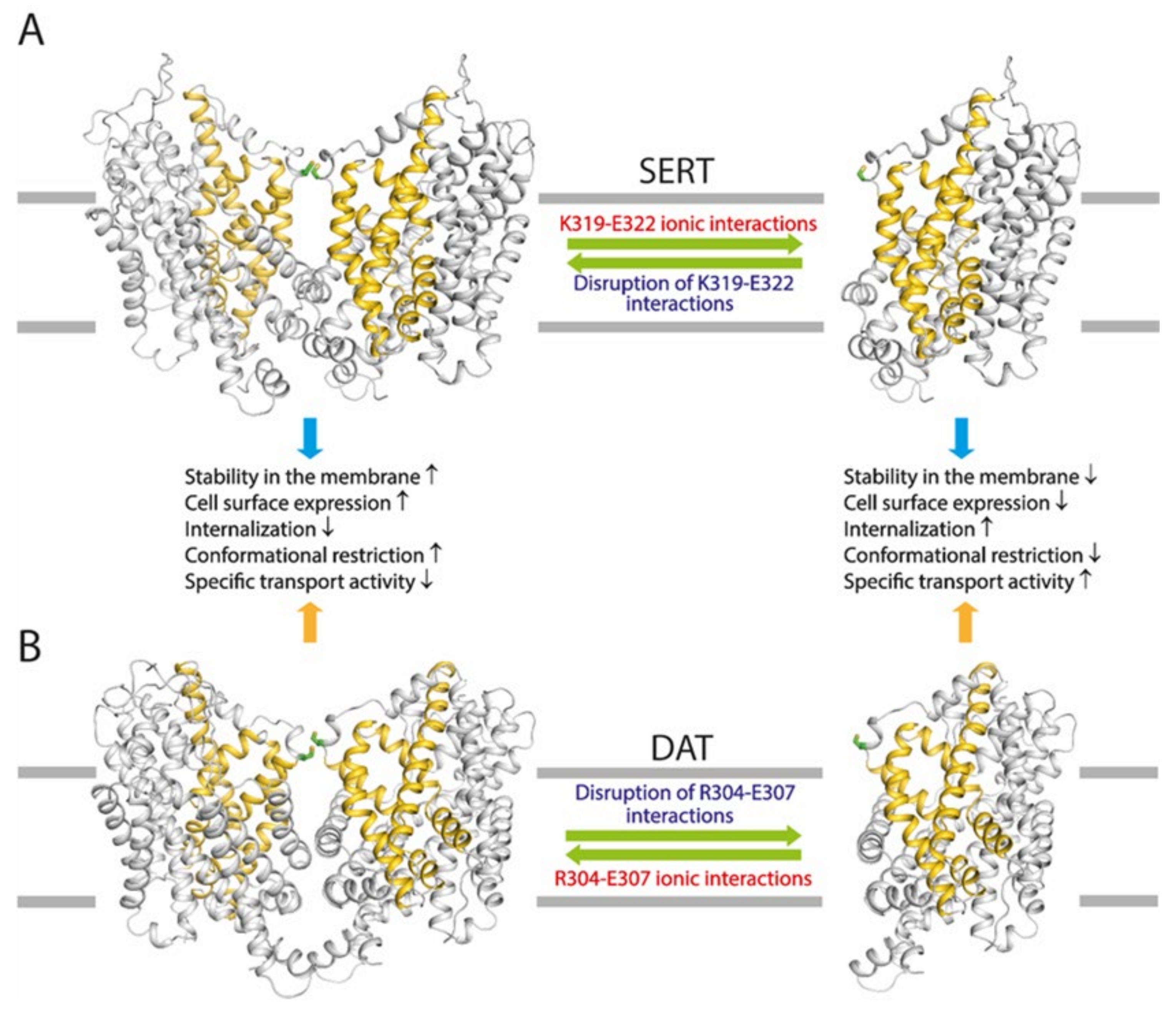 Ijms 25 04032 g010 Ijms 25 04032 g010
