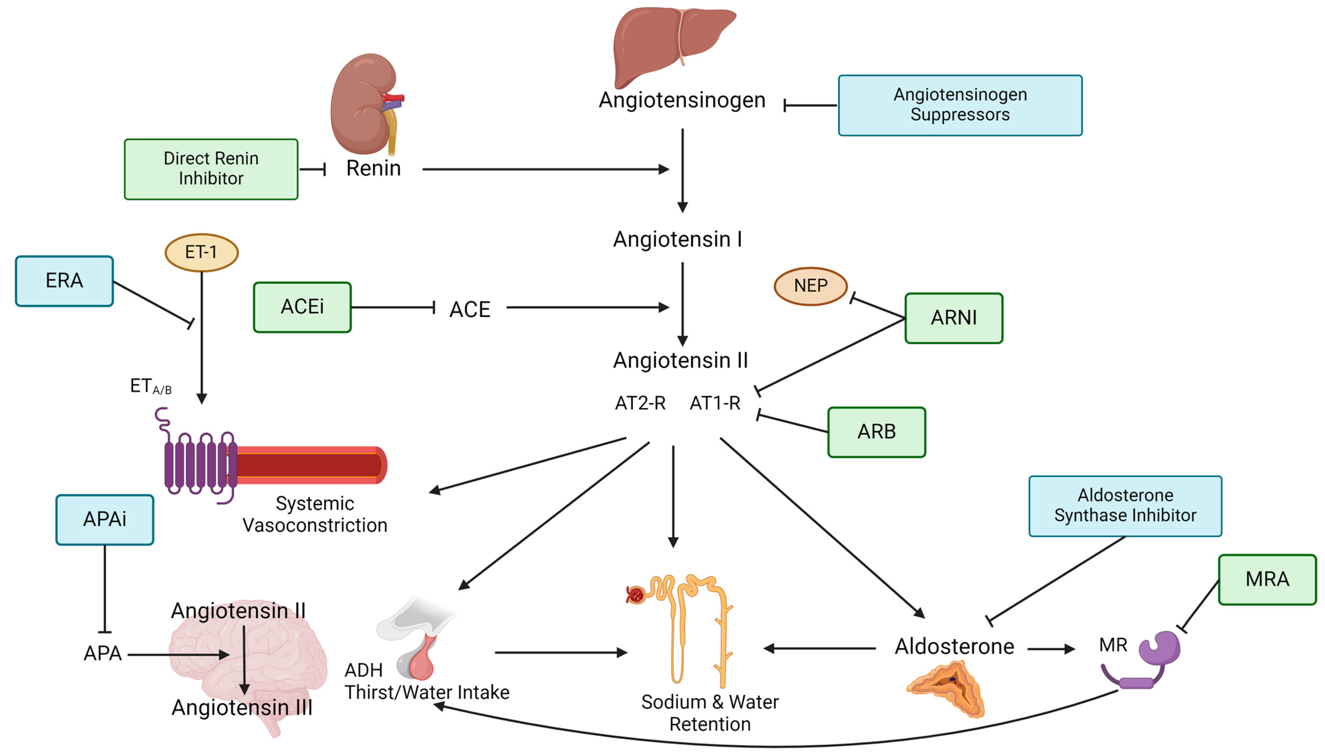 Ijms 25 04035 g001 Ijms 25 04035 g001