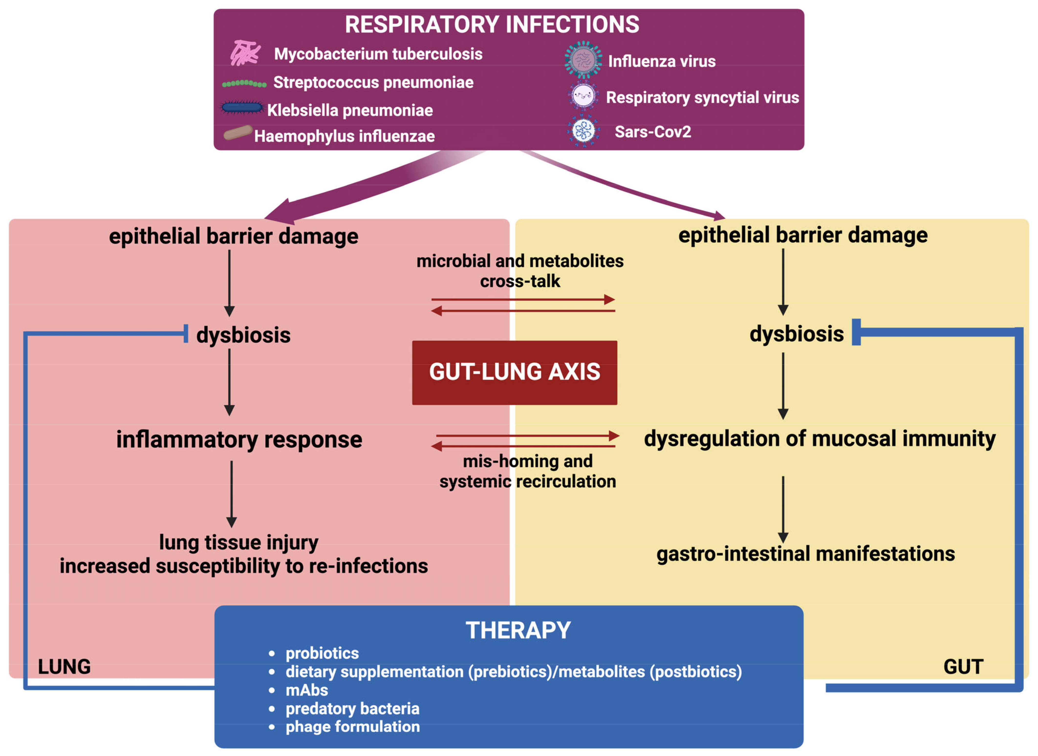 Ijms 25 04051 g003 Ijms 25 04051 g003