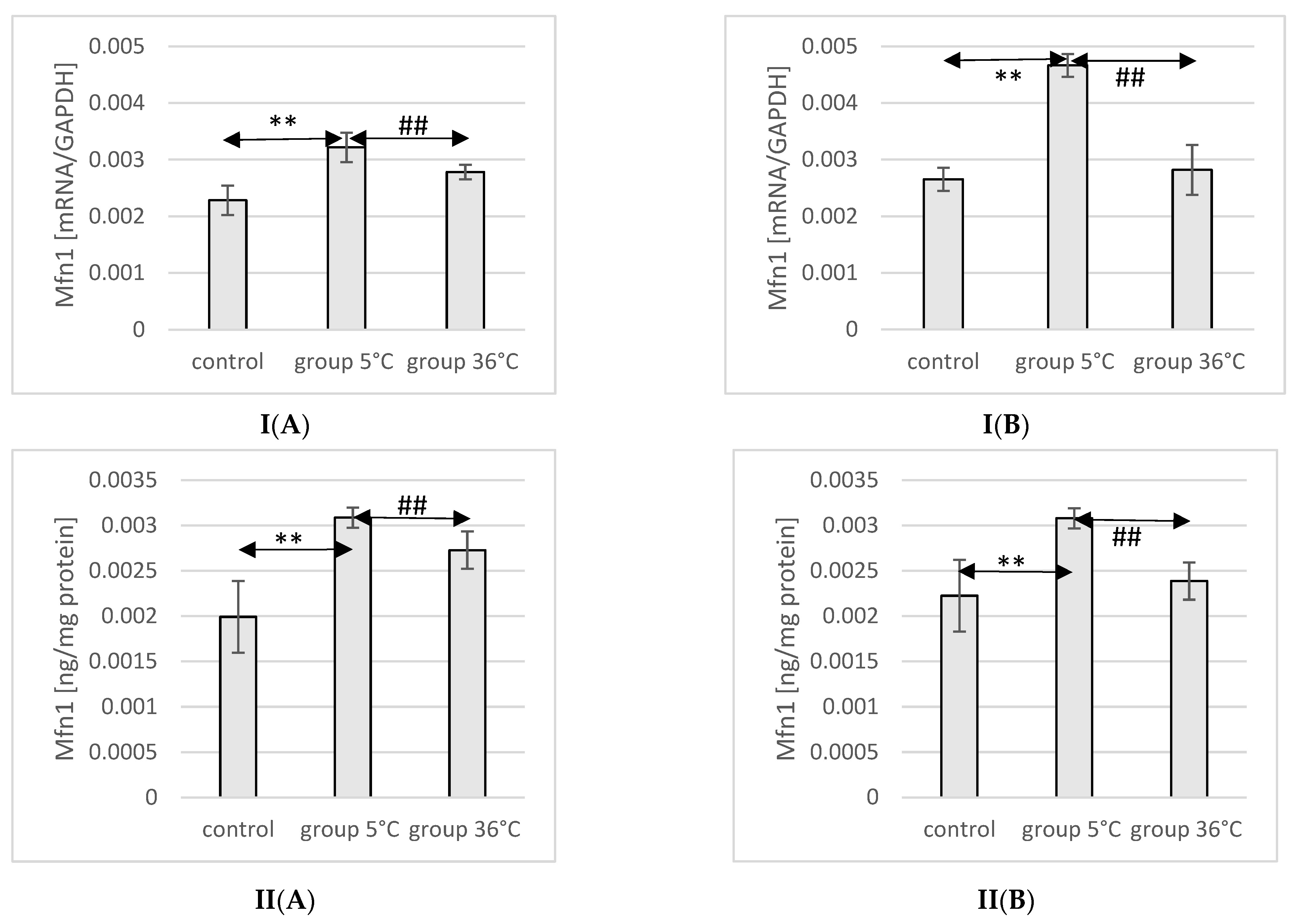 Ijms 25 04055 g004 Ijms 25 04055 g004