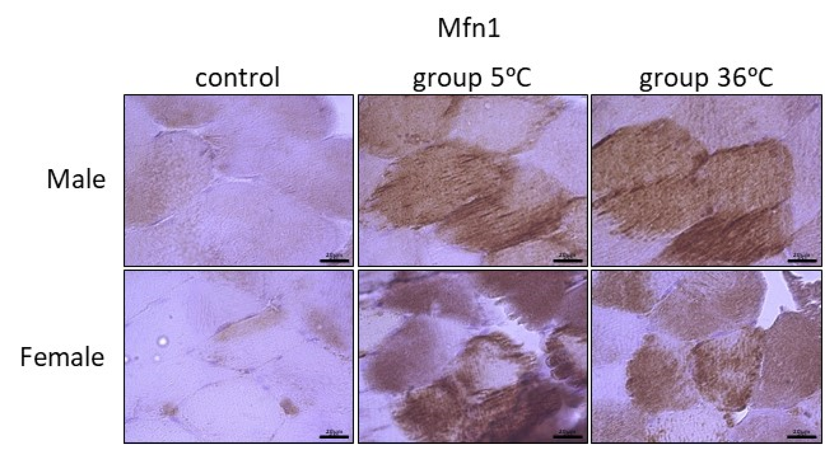 Ijms 25 04055 g006 Ijms 25 04055 g006