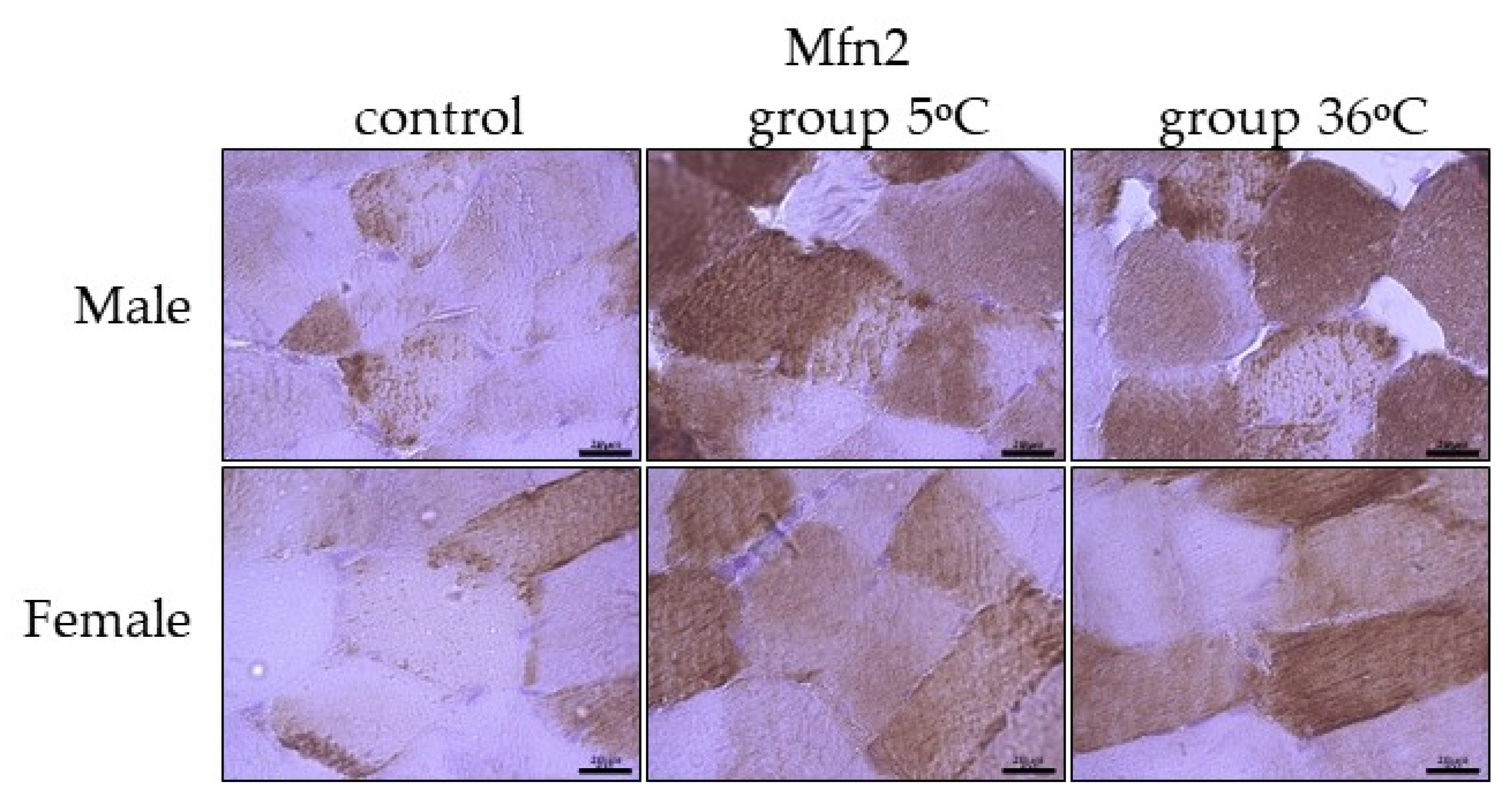 Ijms 25 04055 g007 Ijms 25 04055 g007