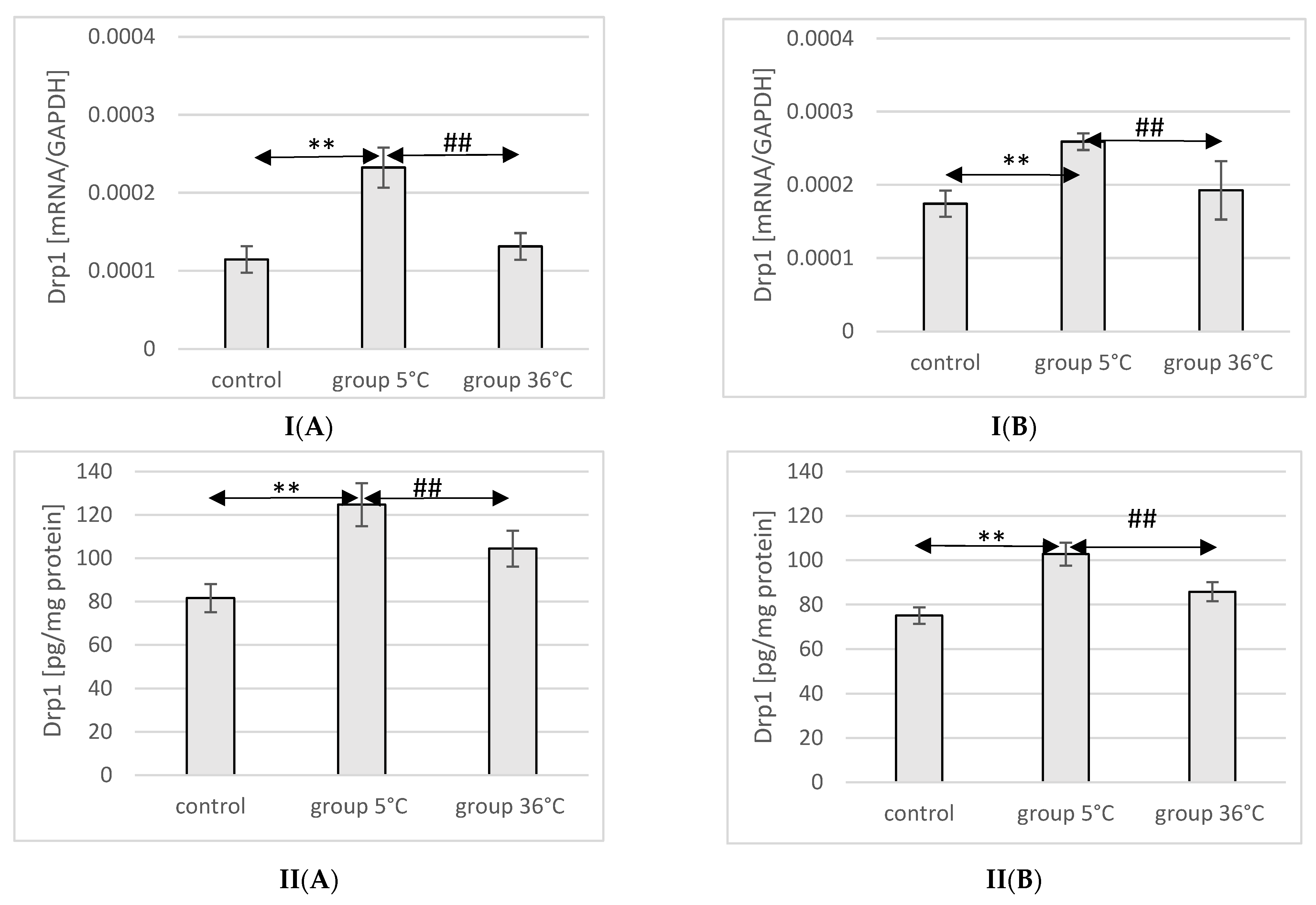 Ijms 25 04055 g009 Ijms 25 04055 g009