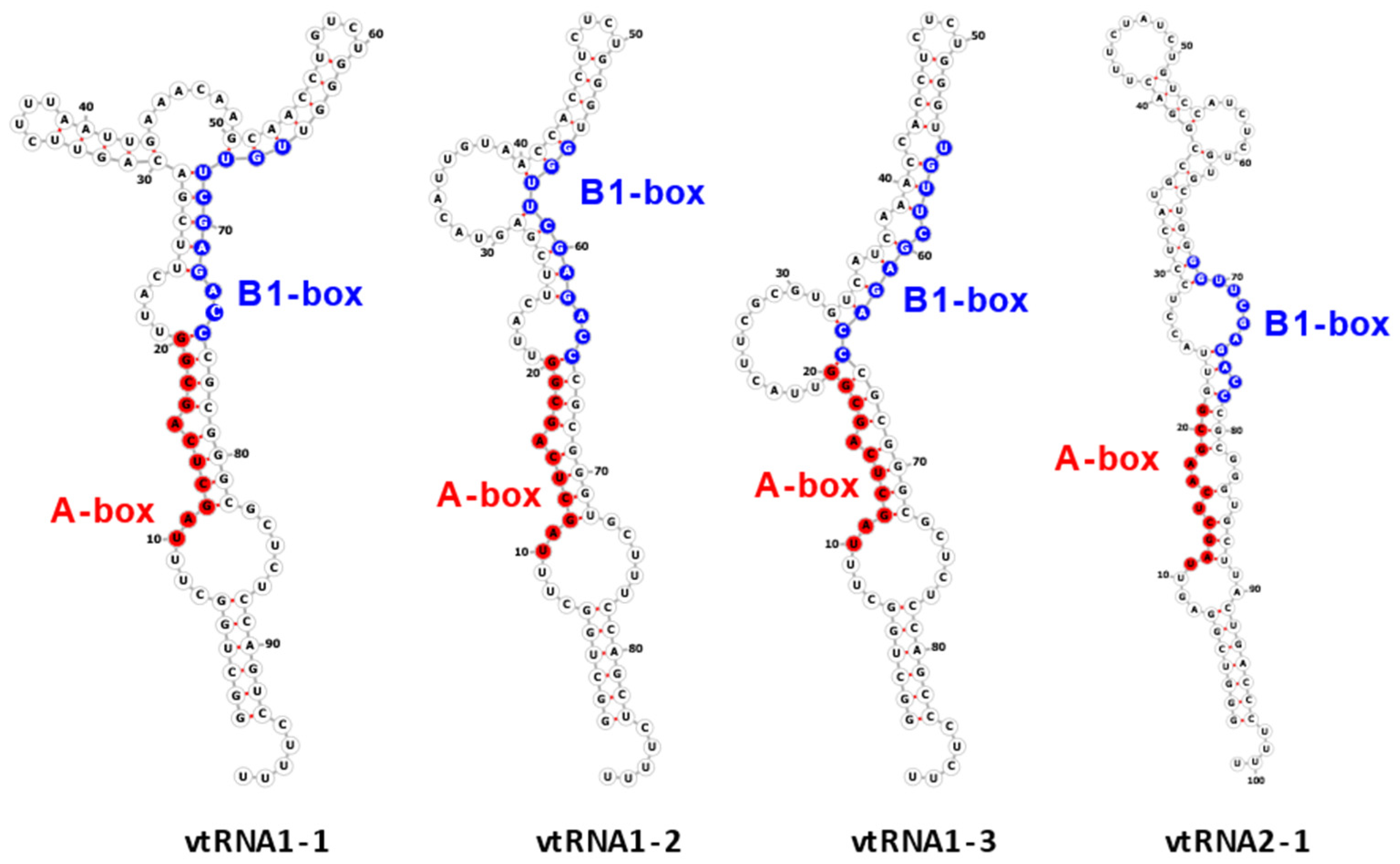 Ijms 25 04072 g001 Ijms 25 04072 g001