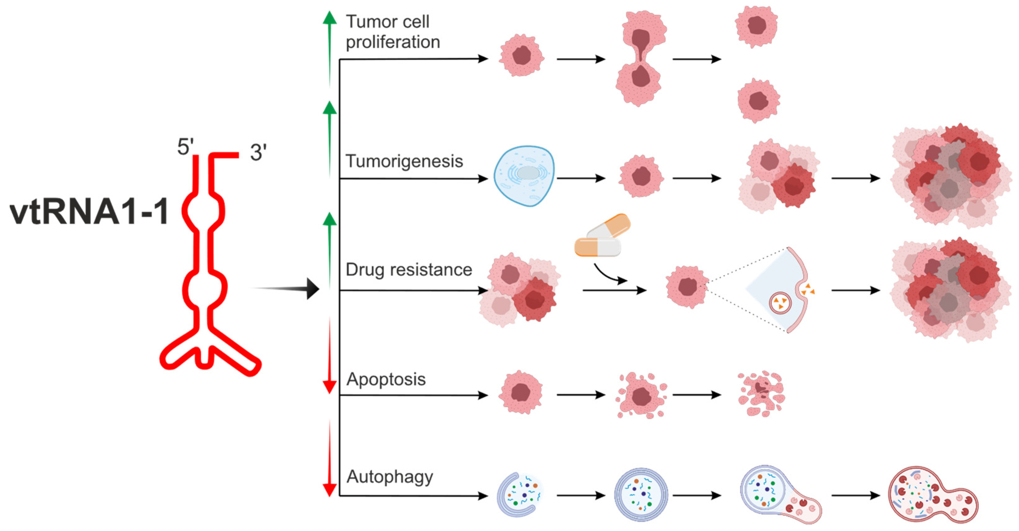 Ijms 25 04072 g002 Ijms 25 04072 g002