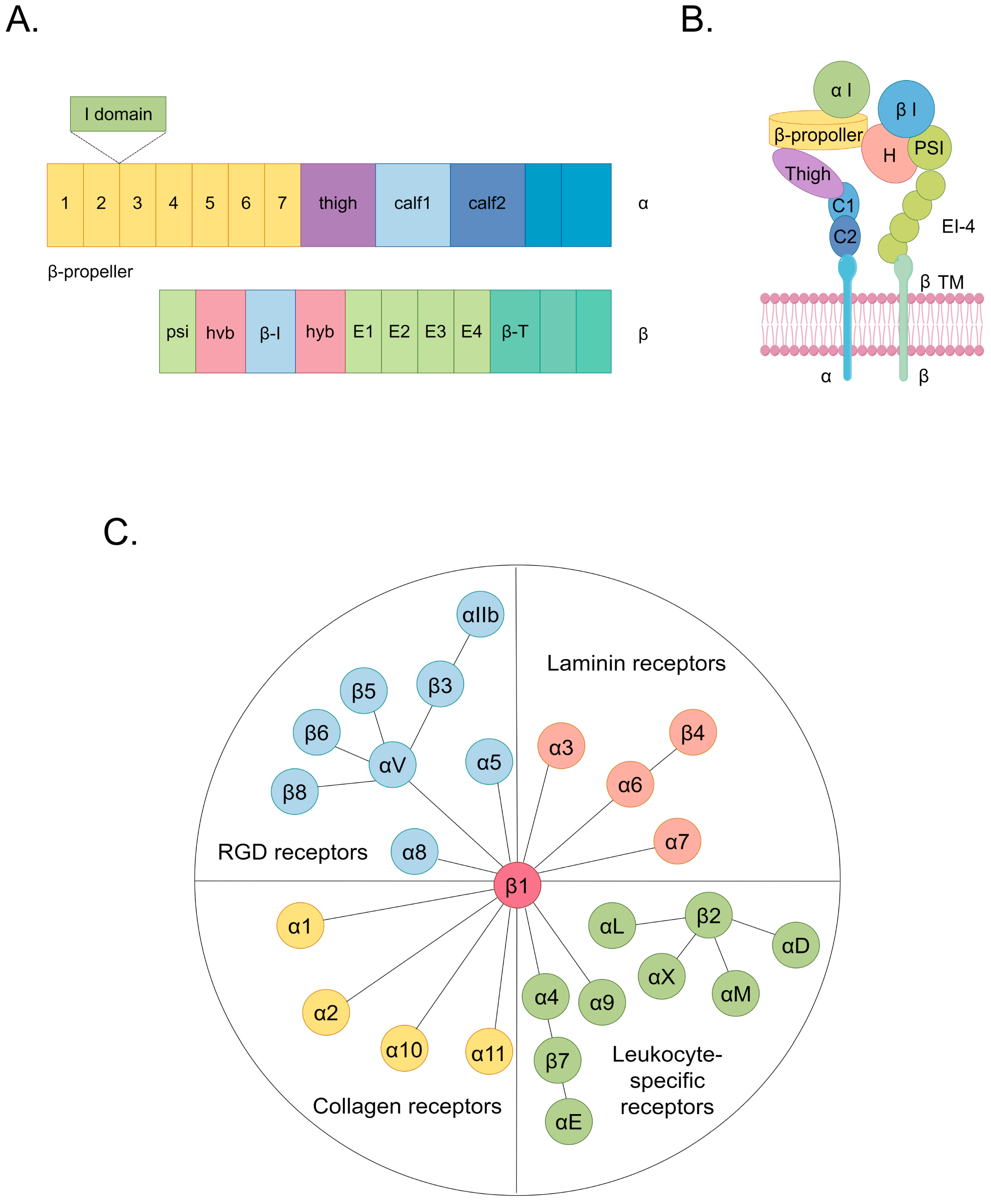 Ijms 25 04096 g001 Ijms 25 04096 g001