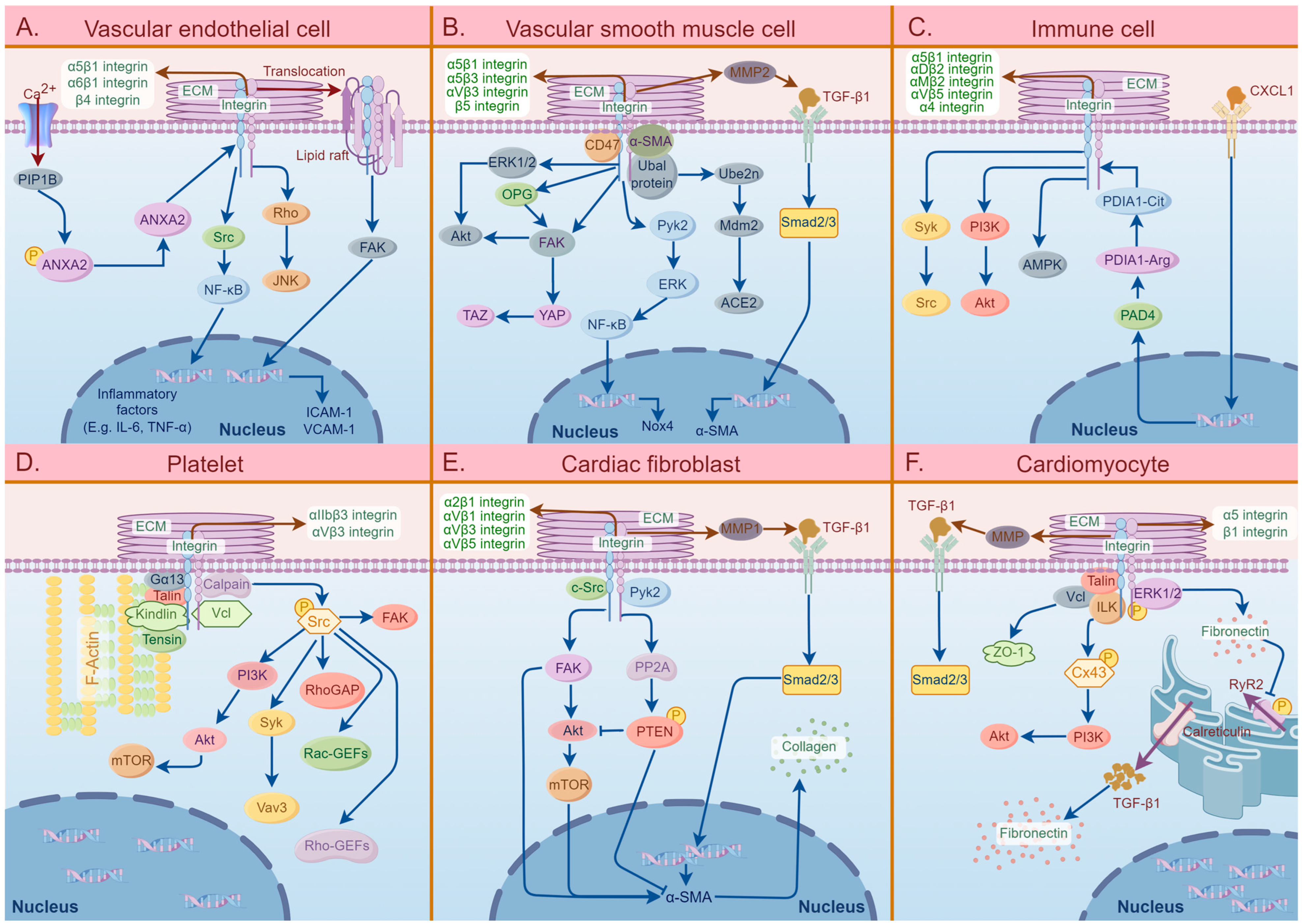 Ijms 25 04096 g002 Ijms 25 04096 g002