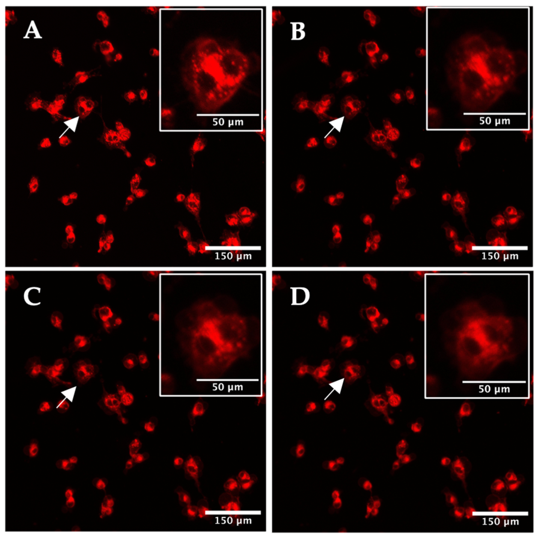 Ijms 25 04222 g002 Ijms 25 04222 g002