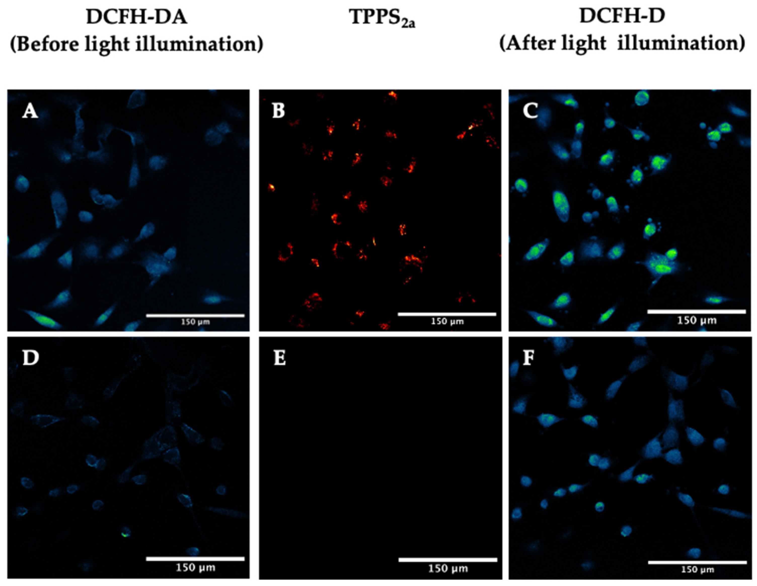 Ijms 25 04222 g003 Ijms 25 04222 g003