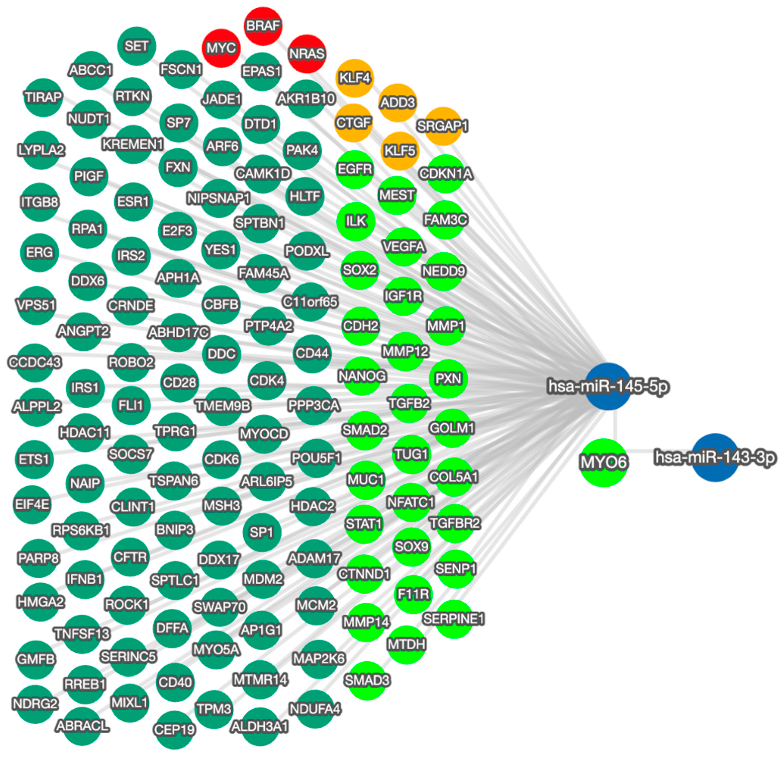 Ijms 25 04301 g005 Ijms 25 04301 g005