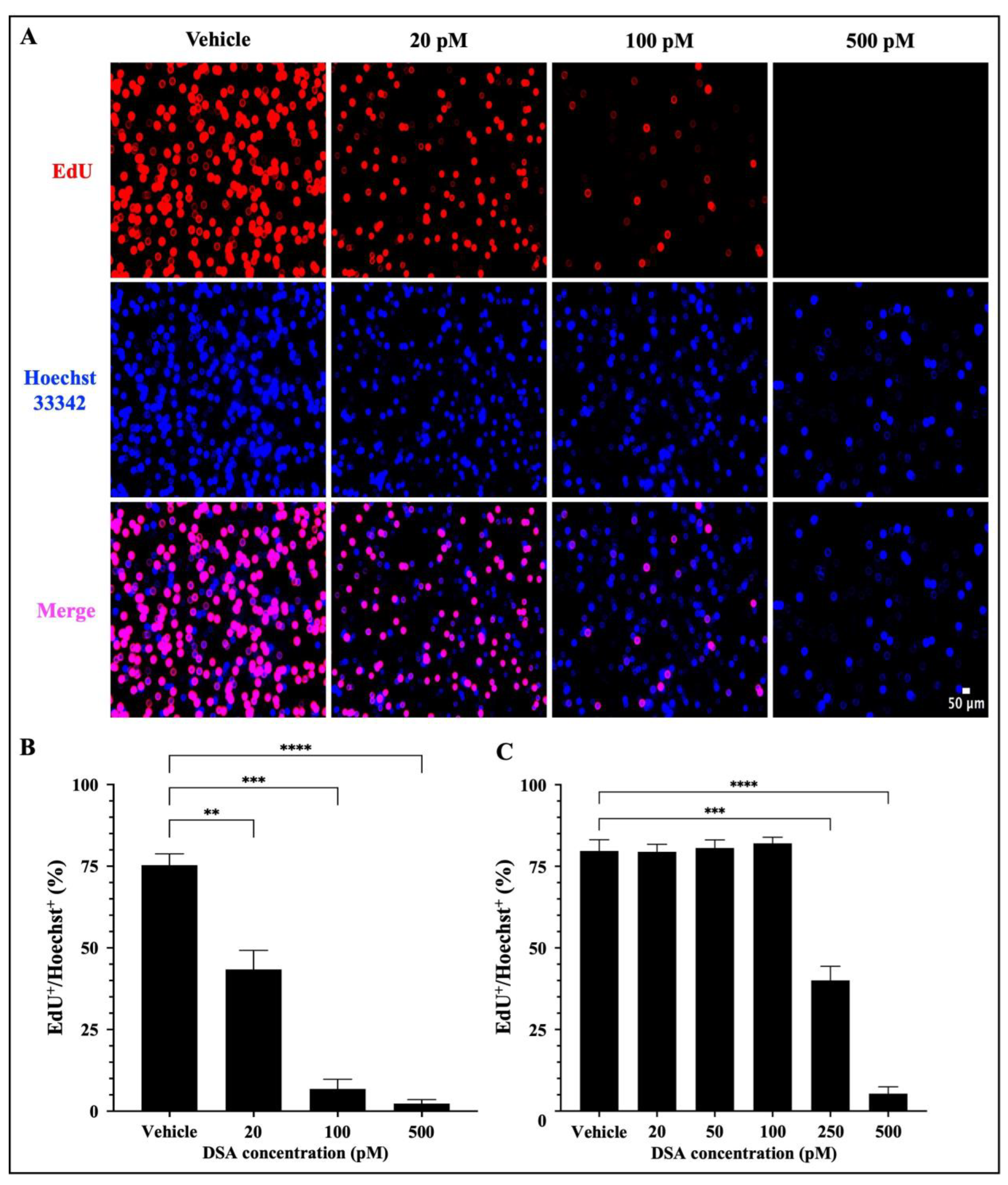 Ijms 25 04342 g005 Ijms 25 04342 g005