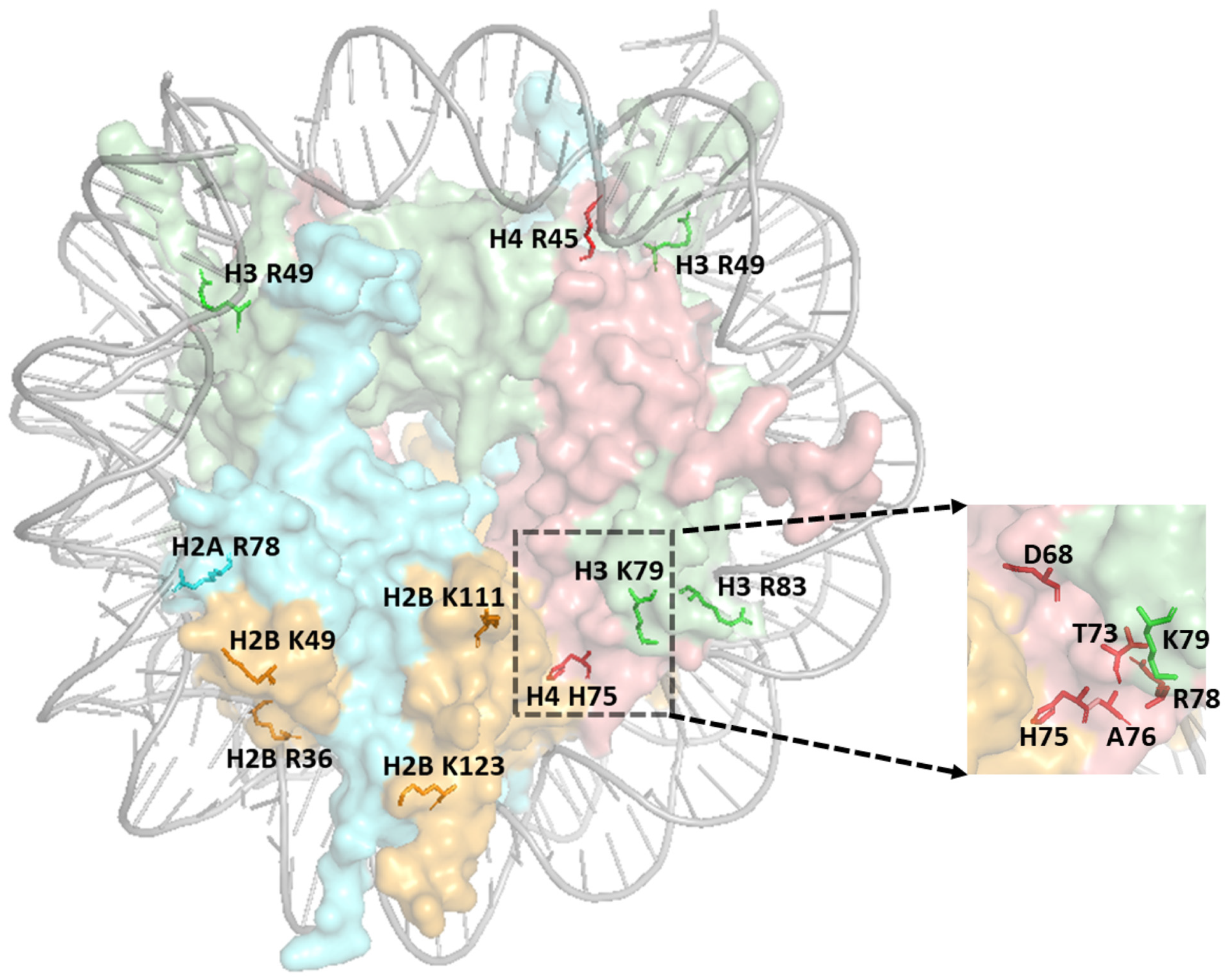 Ijms 25 04393 g004 Ijms 25 04393 g004