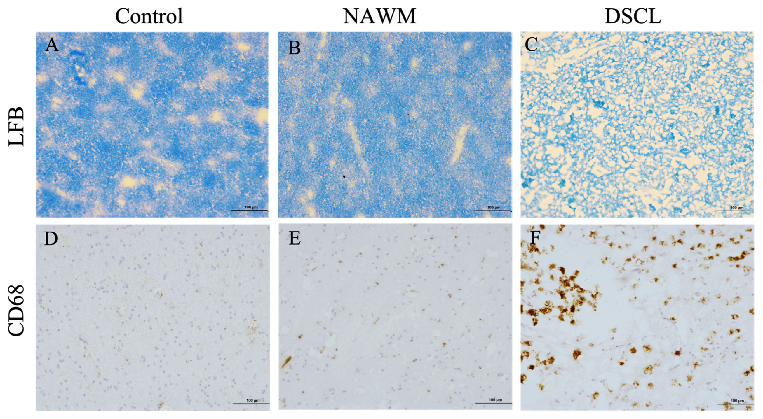 Ijms 25 04445 g001 Ijms 25 04445 g001