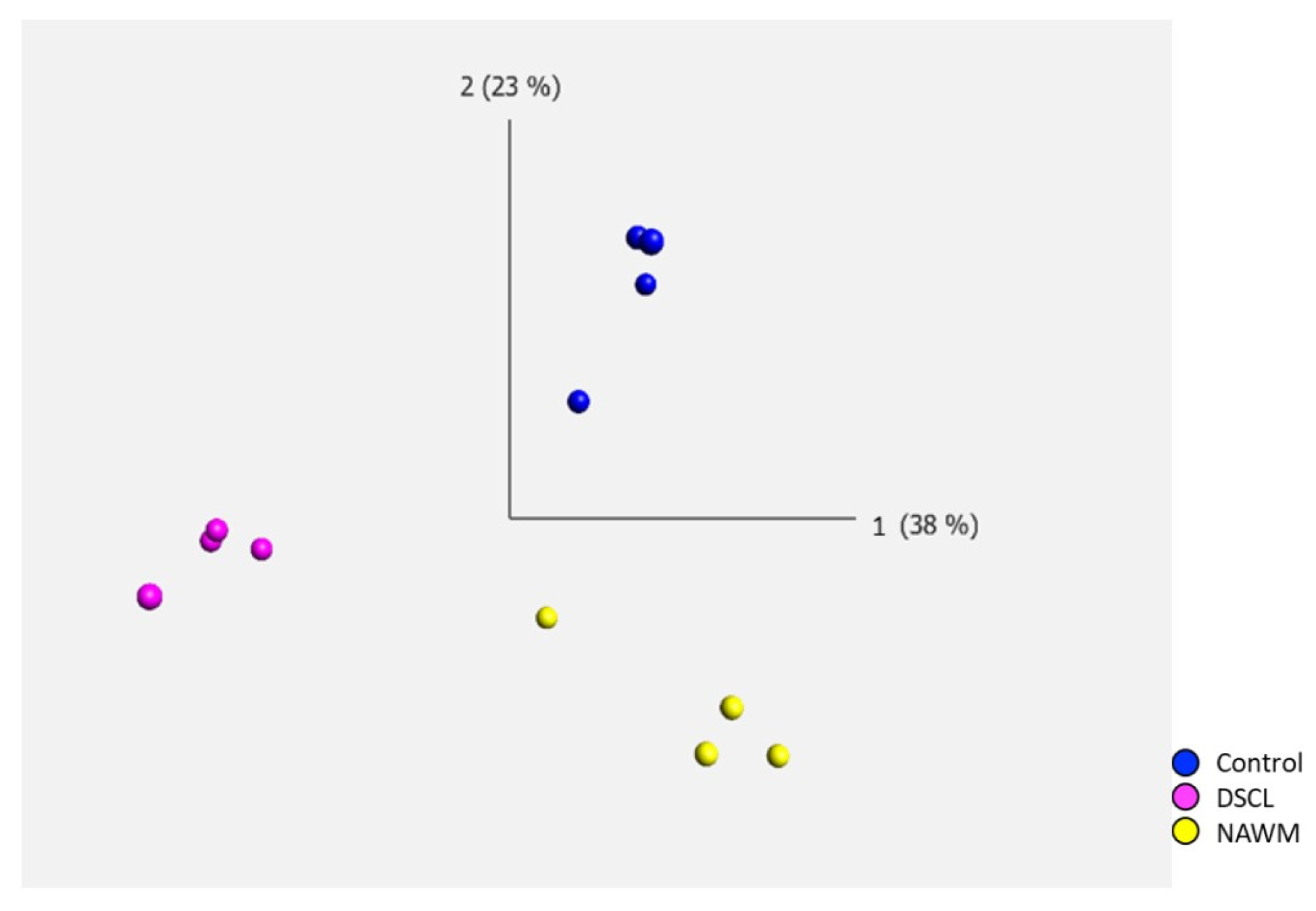 Ijms 25 04445 g002 Ijms 25 04445 g002