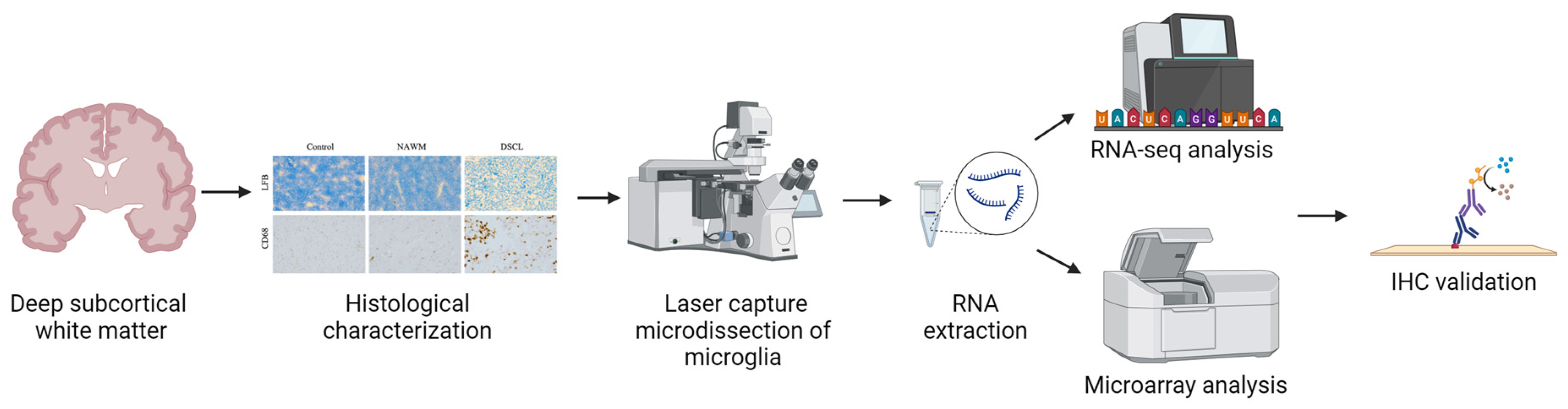Ijms 25 04445 g004 Ijms 25 04445 g004