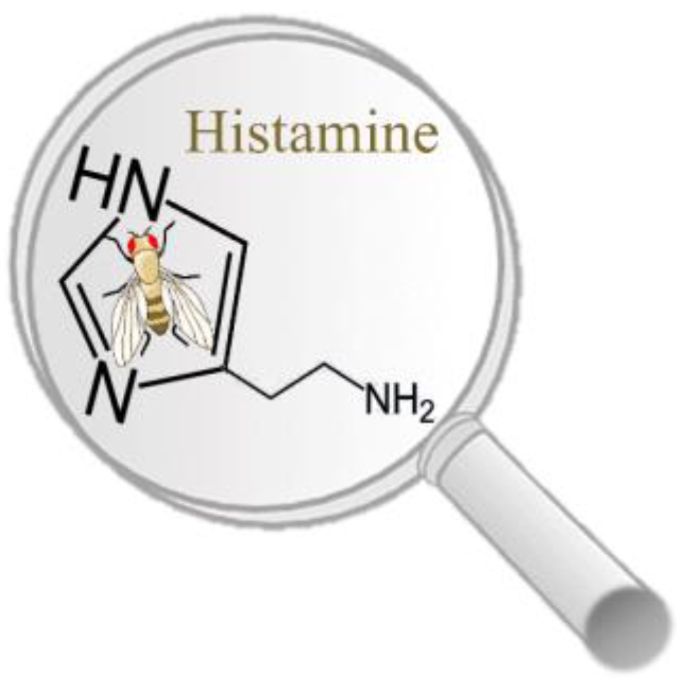 Ijms 25 04449 g001 Ijms 25 04449 g001