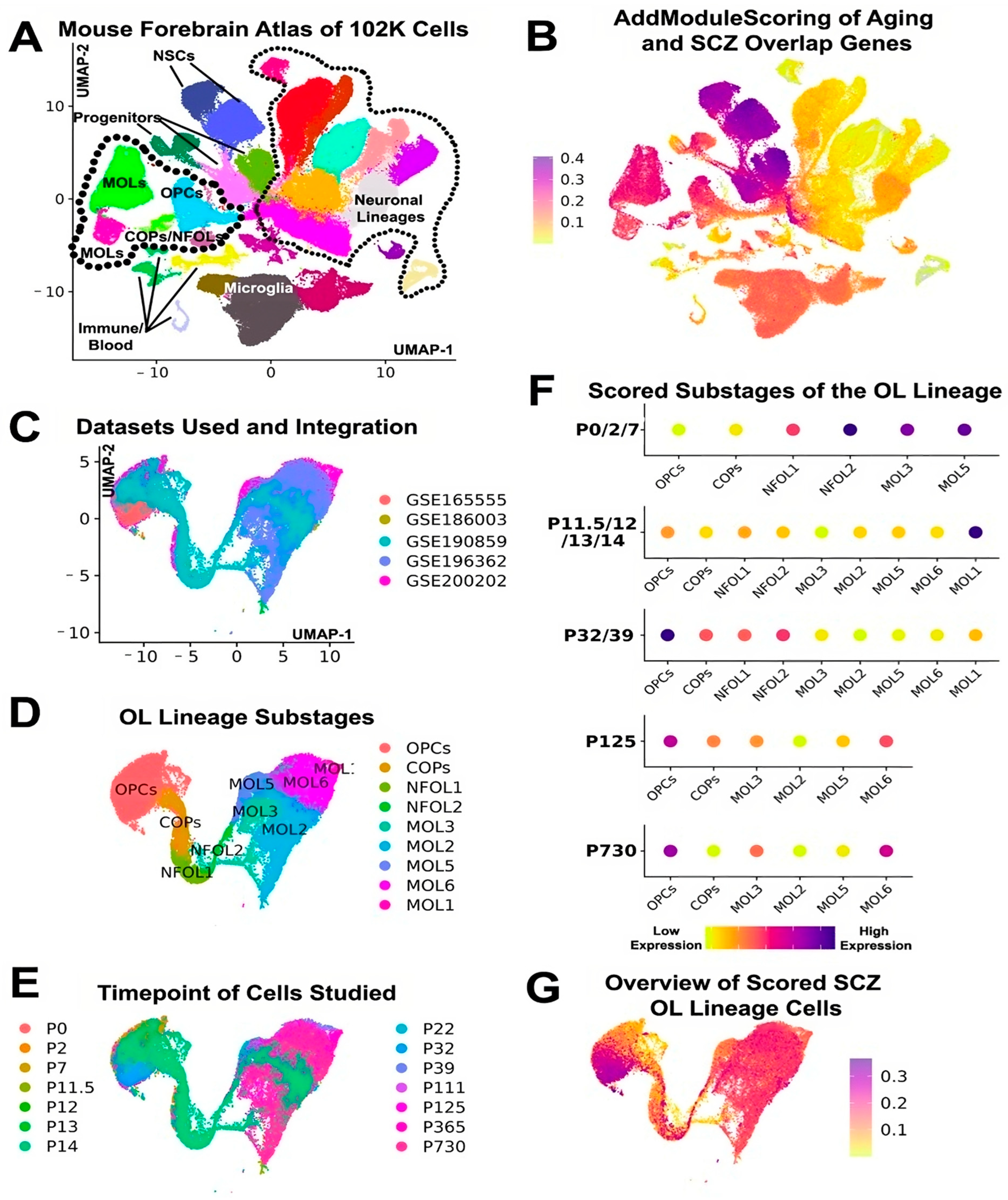 Ijms 25 04452 g001 Ijms 25 04452 g001