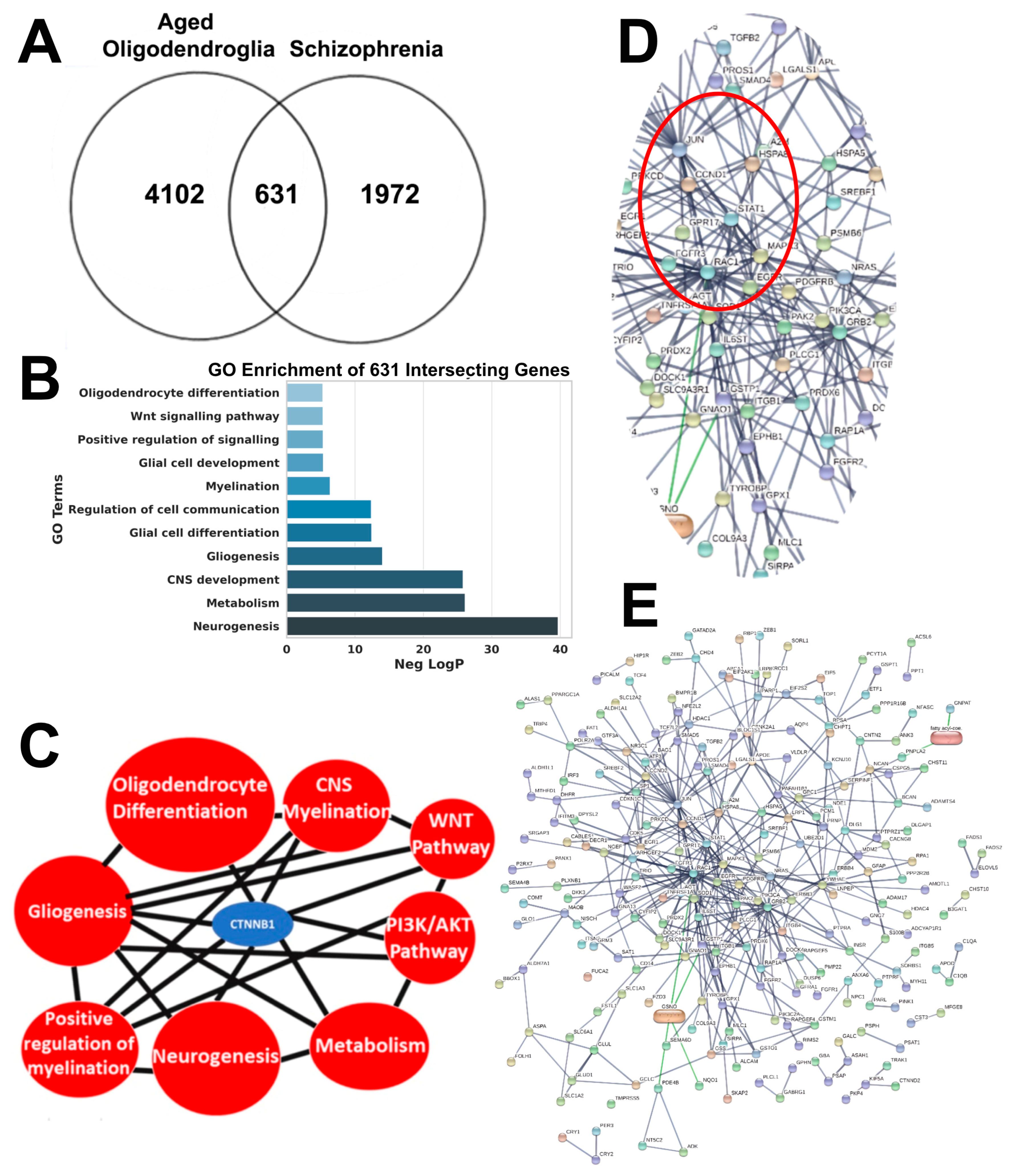 Ijms 25 04452 g002 Ijms 25 04452 g002