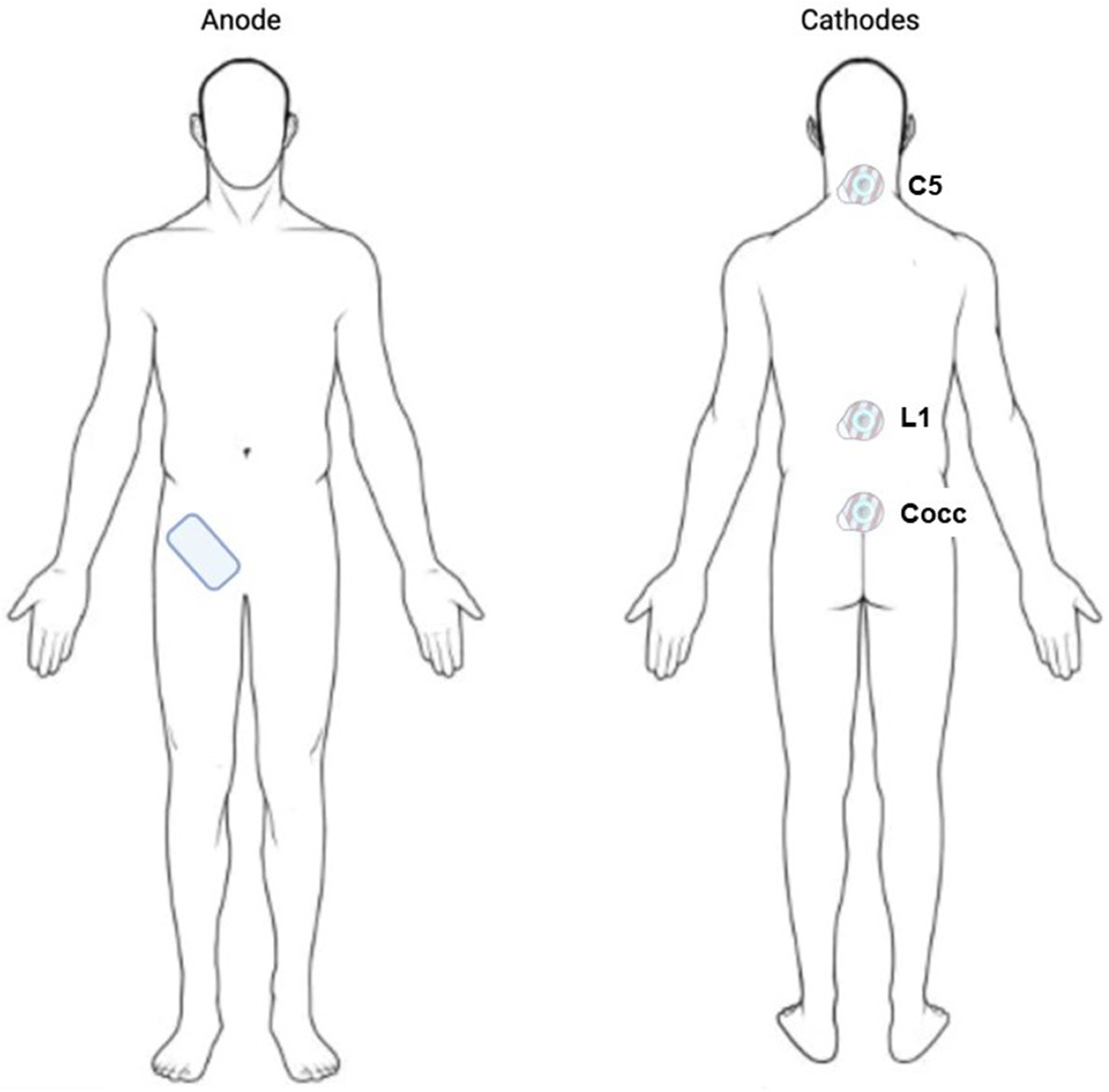 Ijms 25 04480 g002 Ijms 25 04480 g002