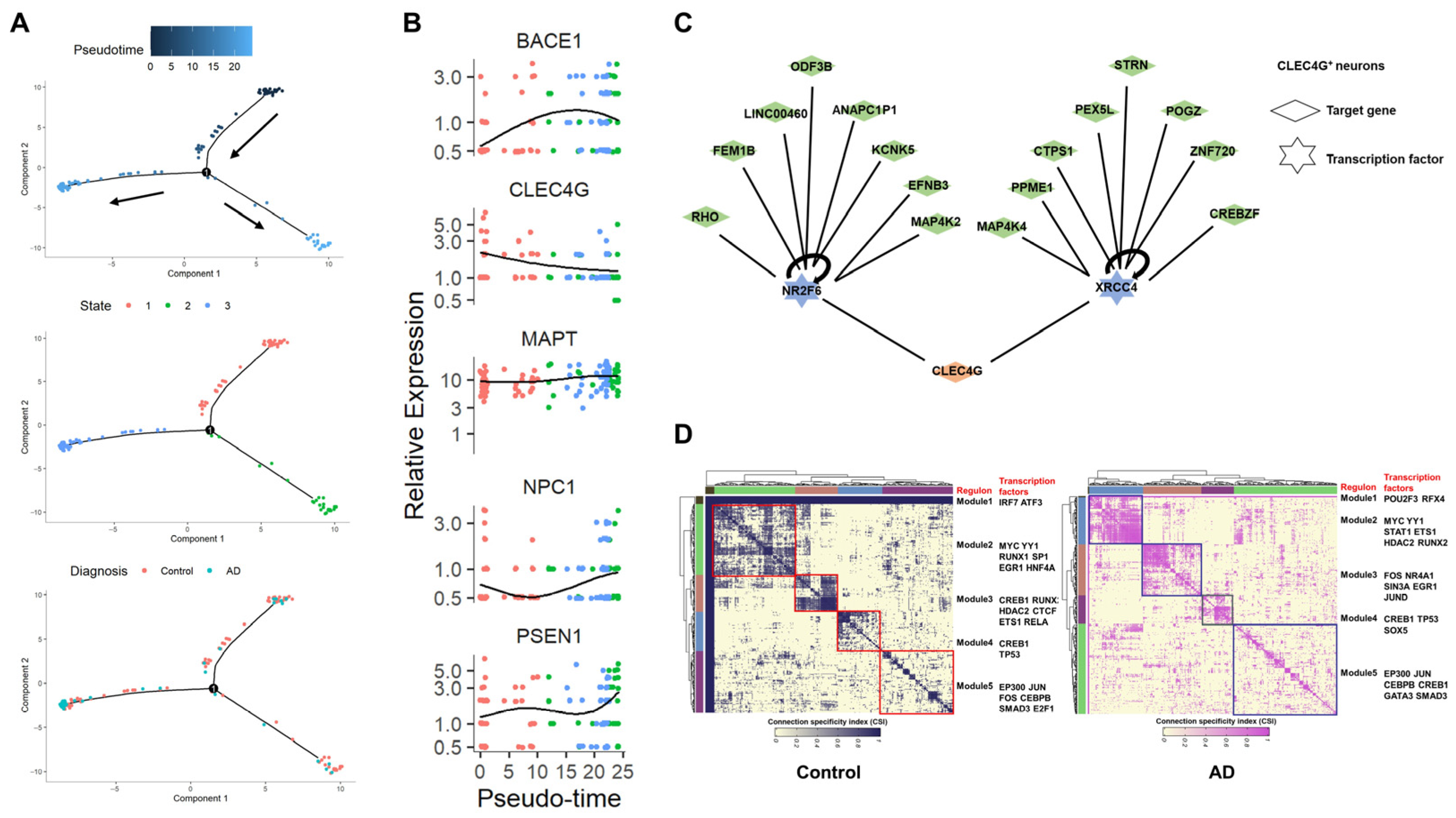 Ijms 25 04621 g006