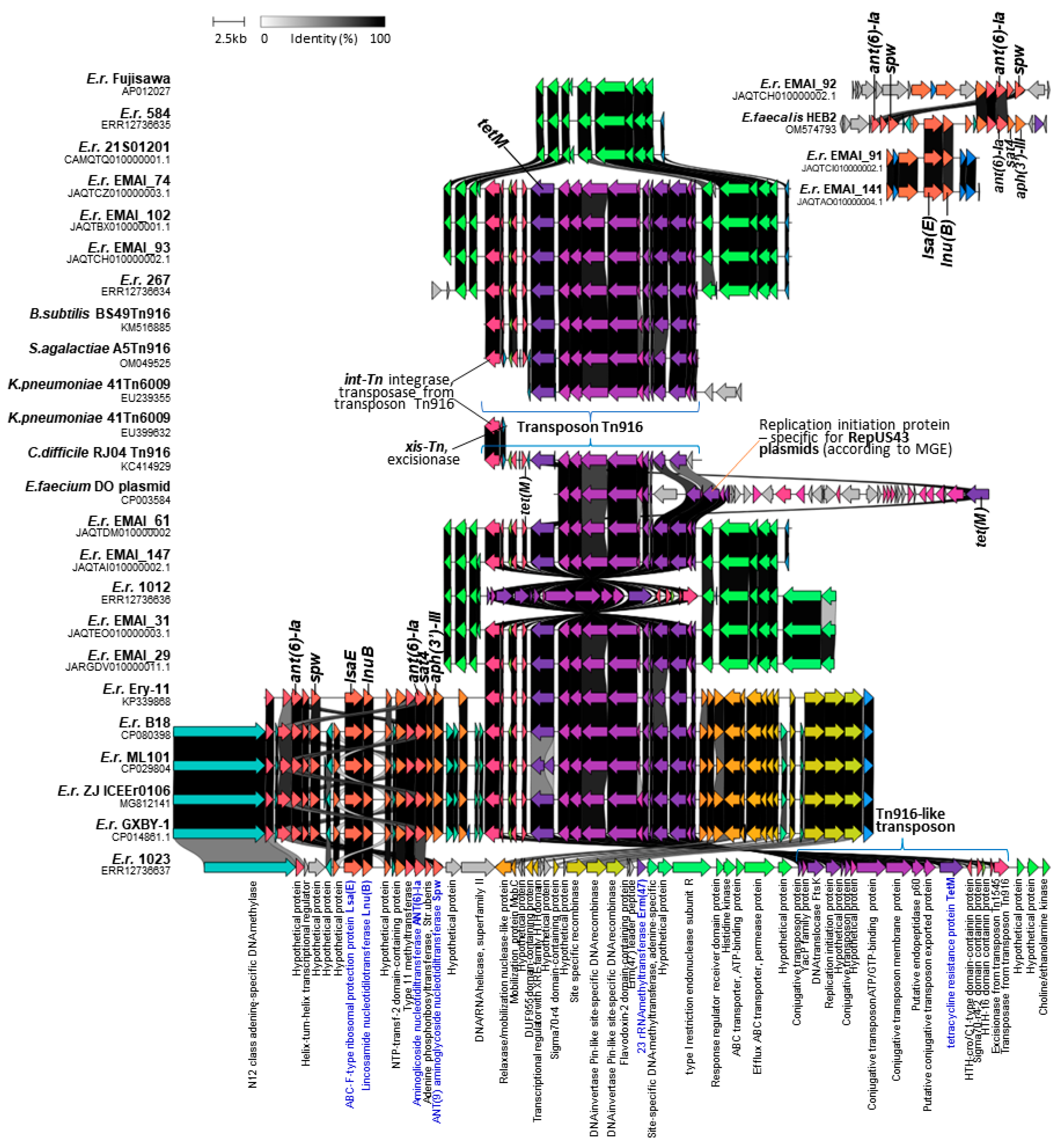 Ijms 25 04638 g001 Ijms 25 04638 g001