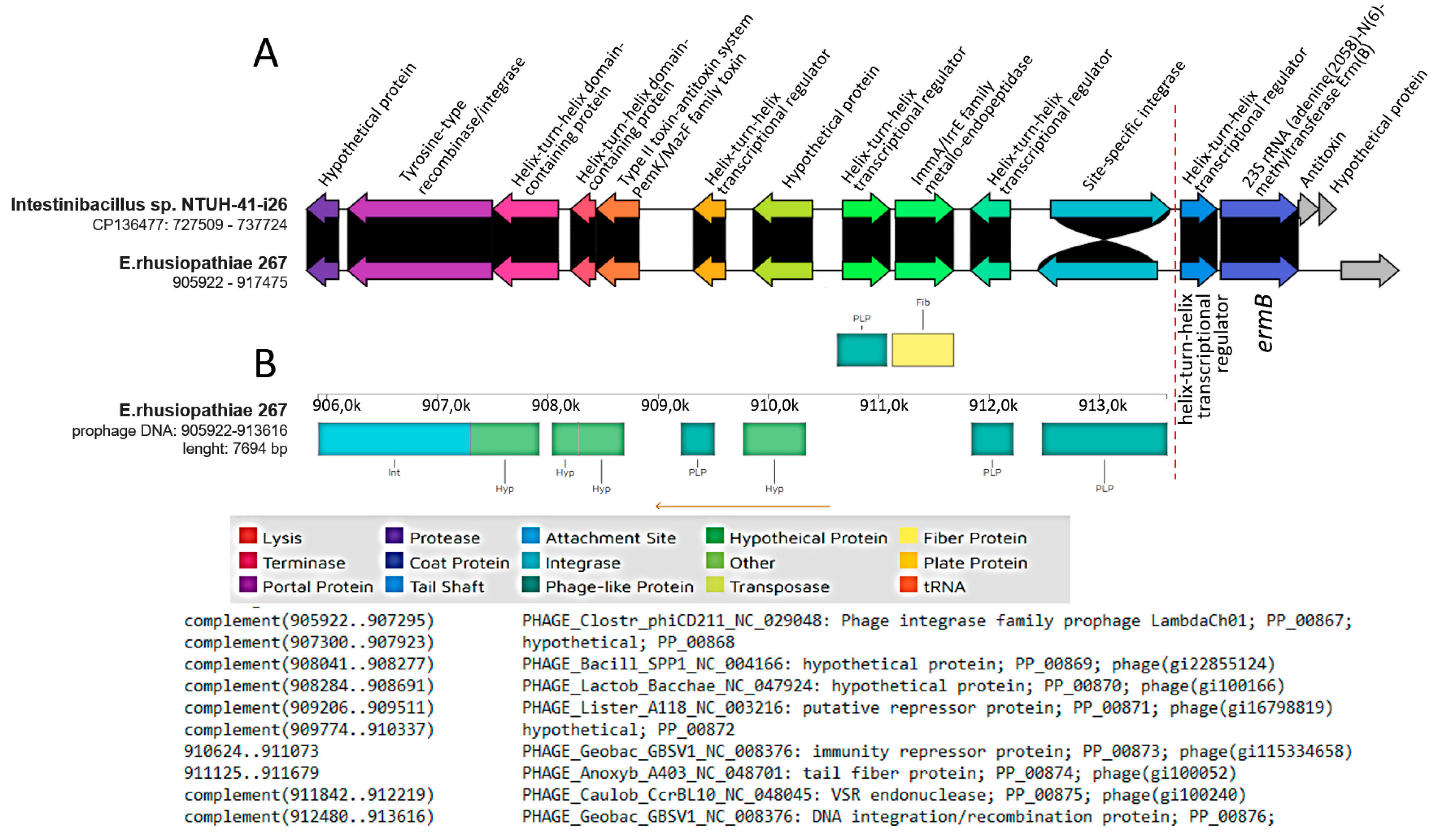 Ijms 25 04638 g003 Ijms 25 04638 g003