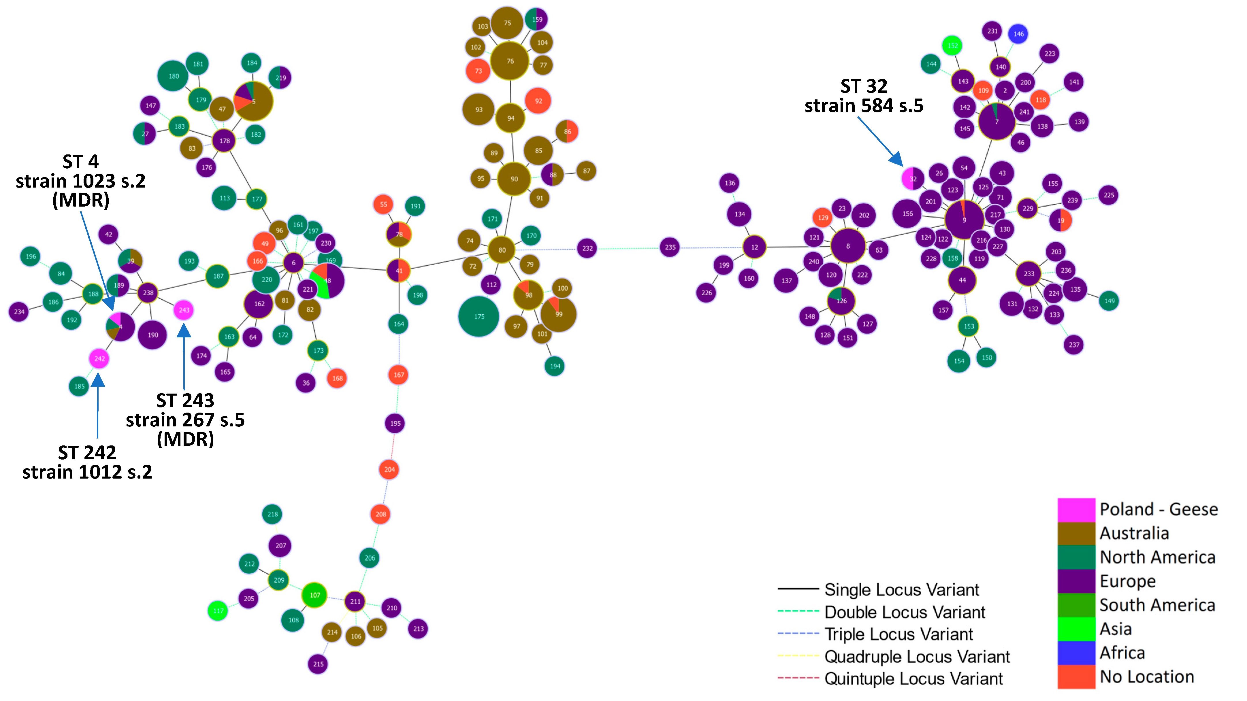 Ijms 25 04638 g004 Ijms 25 04638 g004