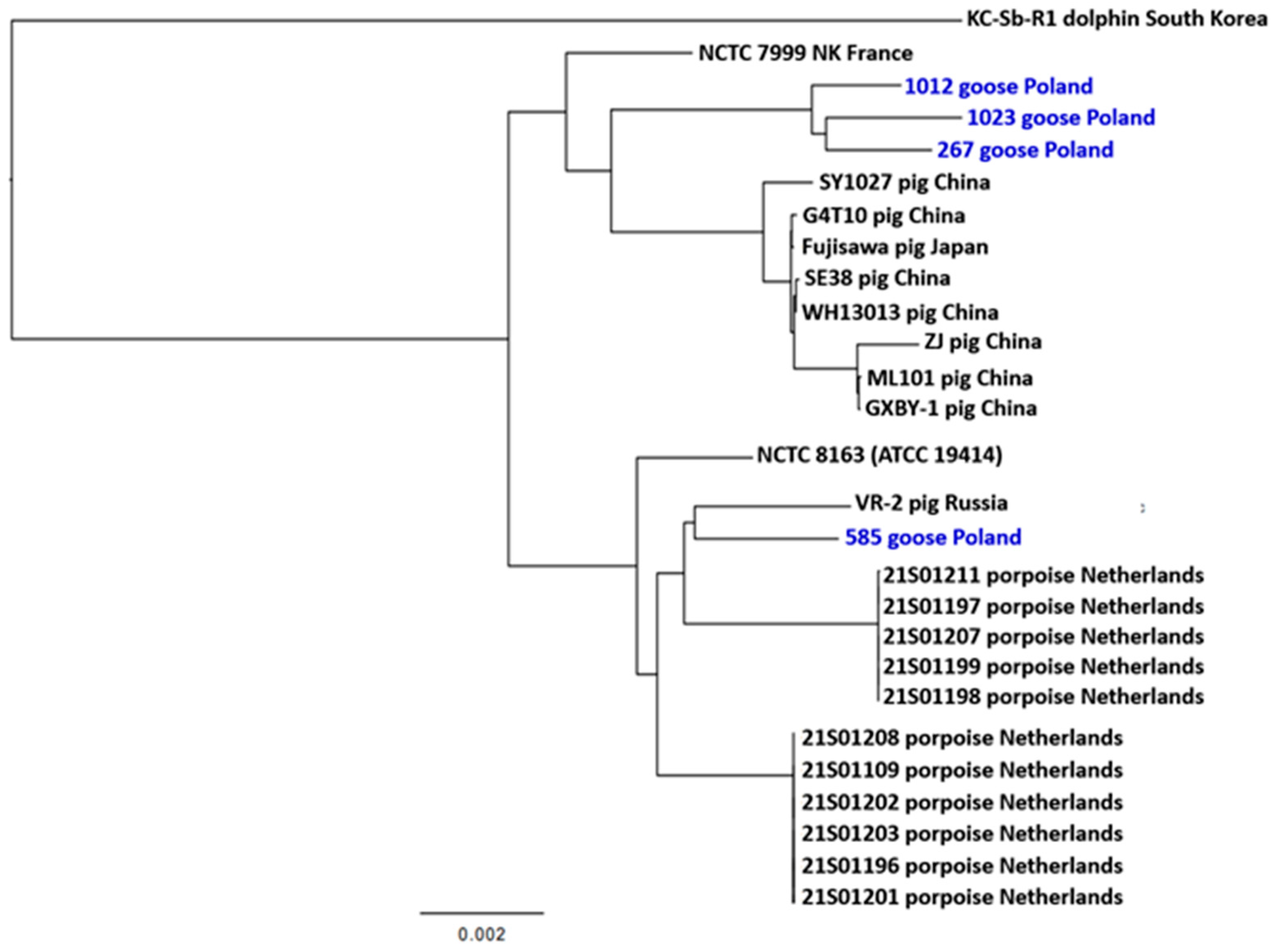 Ijms 25 04638 g005 Ijms 25 04638 g005