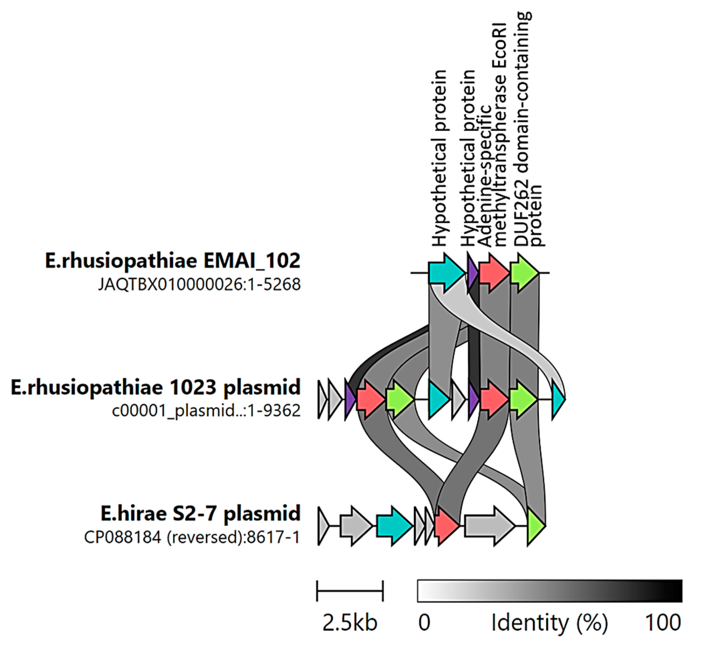 Ijms 25 04638 g0a1 Ijms 25 04638 g0a1