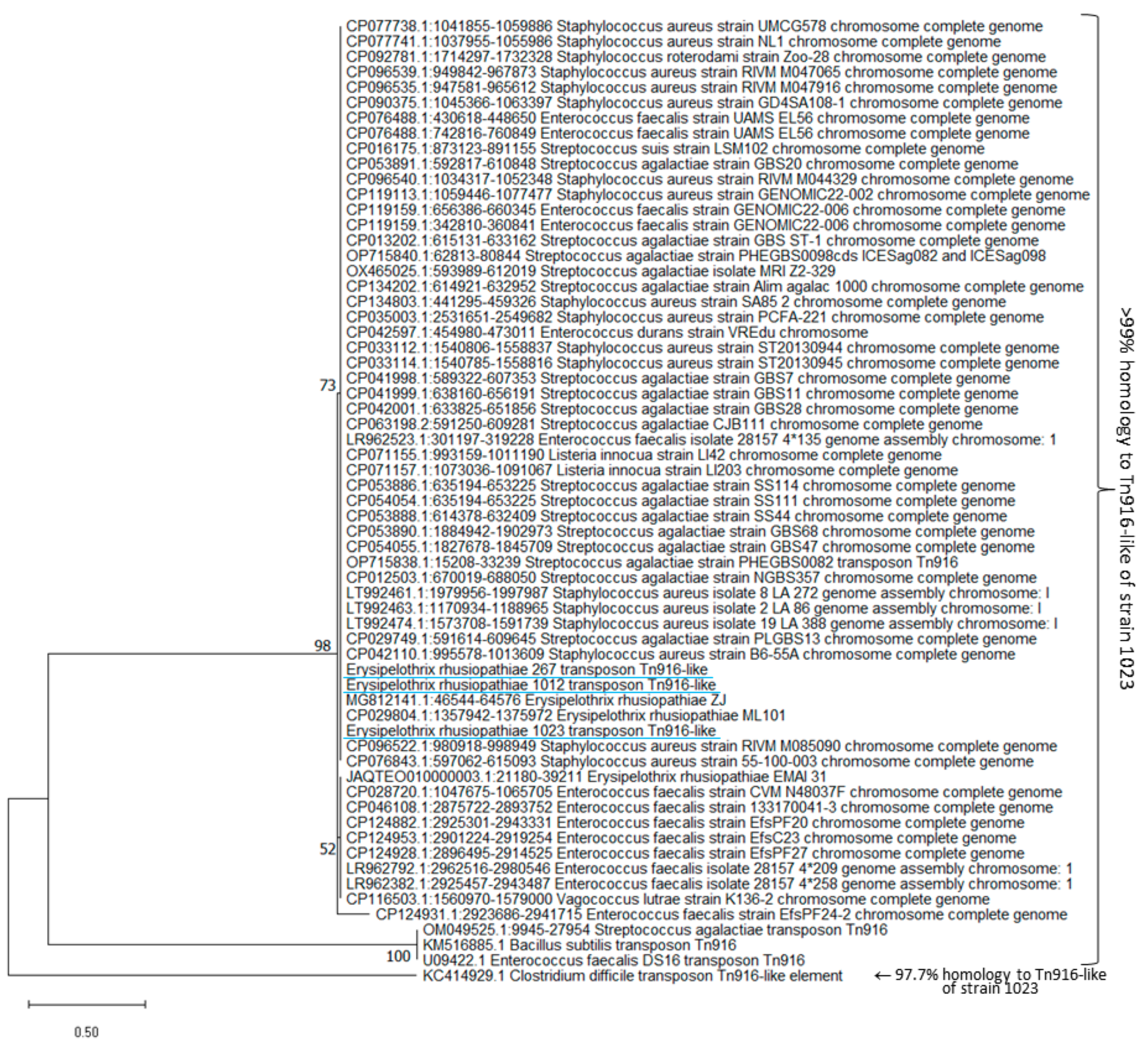 Ijms 25 04638 g0a2 Ijms 25 04638 g0a2