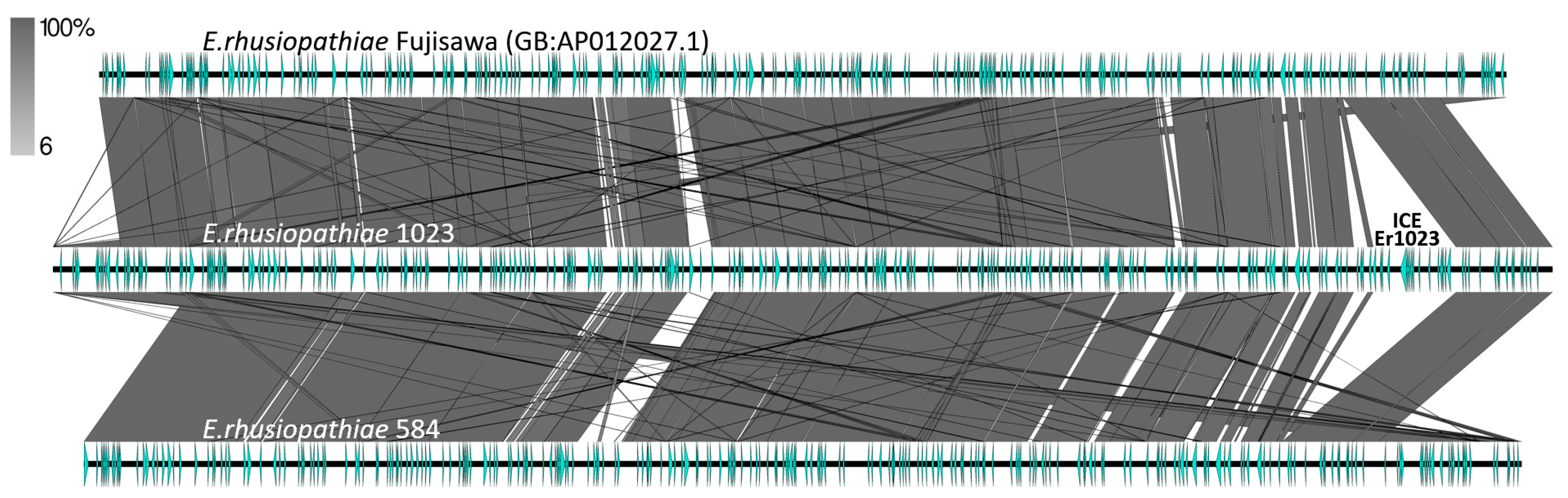 Ijms 25 04638 g0a3 Ijms 25 04638 g0a3