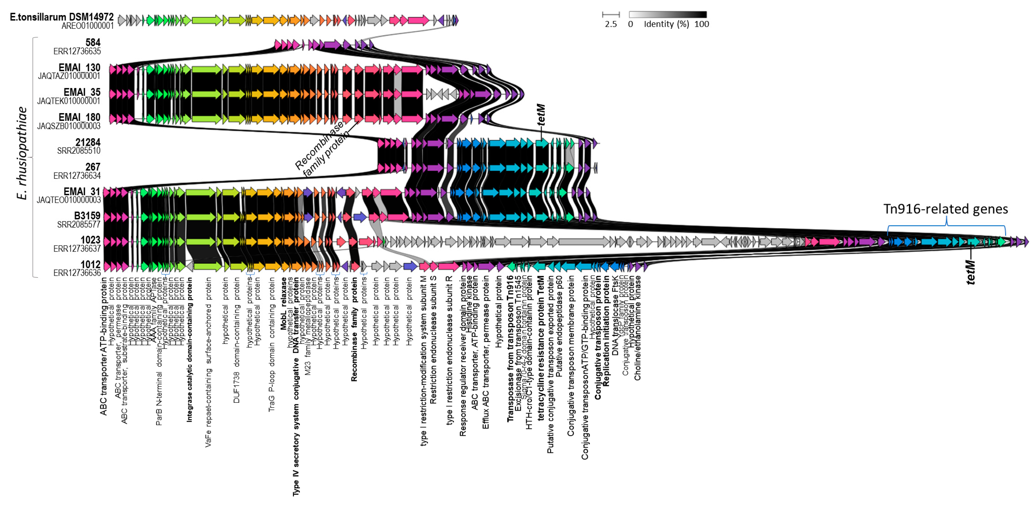 Ijms 25 04638 g0a4 Ijms 25 04638 g0a4