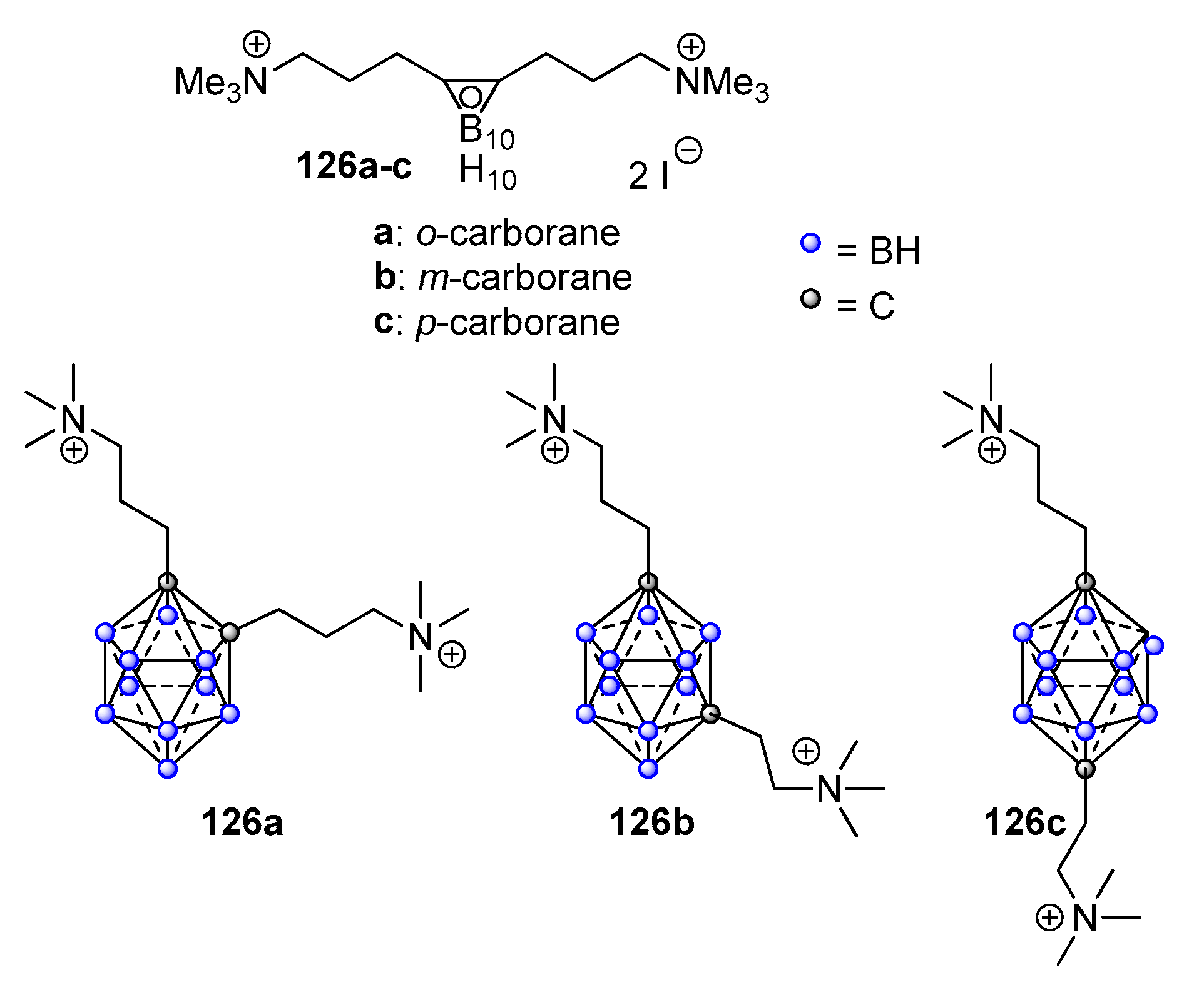 Ijms 25 04649 g007 Ijms 25 04649 g007