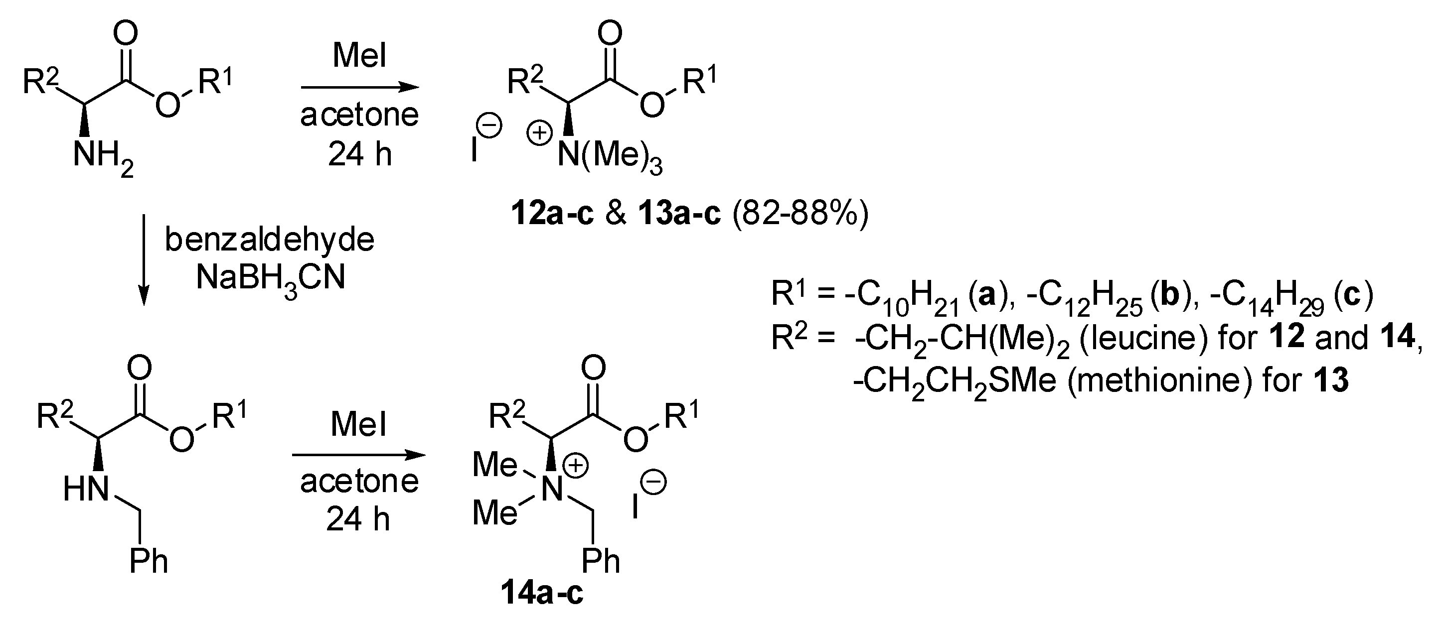 Ijms 25 04649 sch008 Ijms 25 04649 sch008