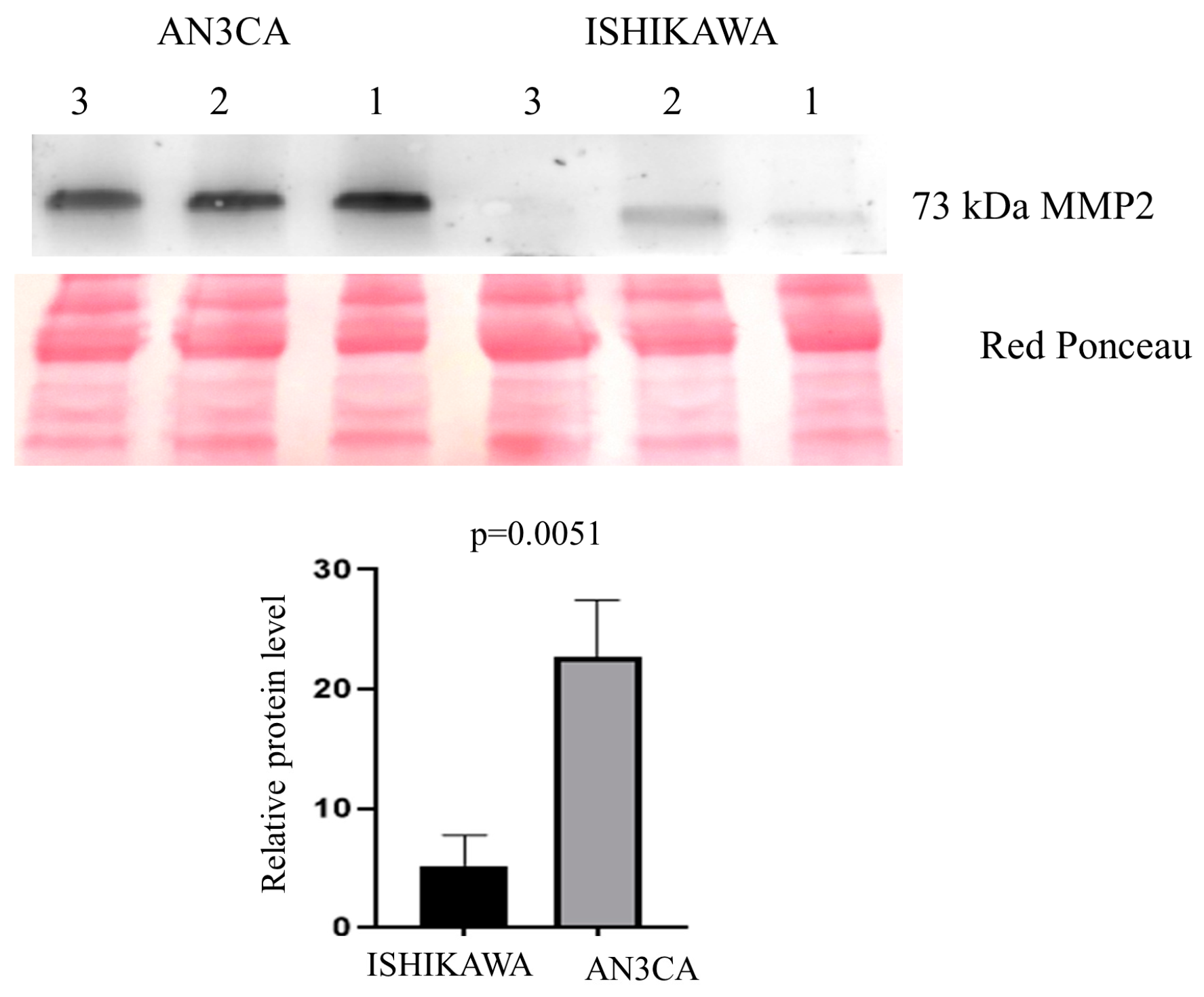 Ijms 25 04650 g009 Ijms 25 04650 g009