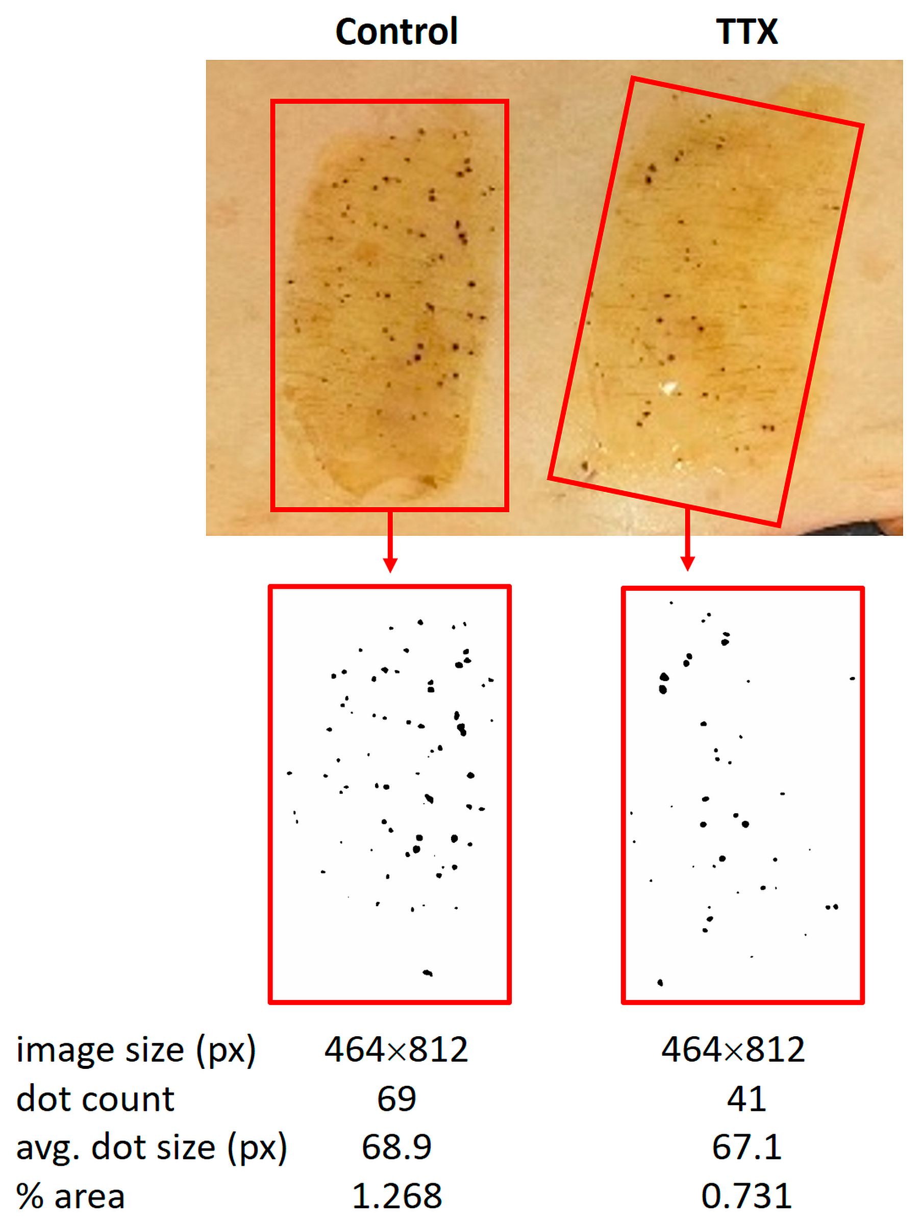 Ijms 25 04658 g005