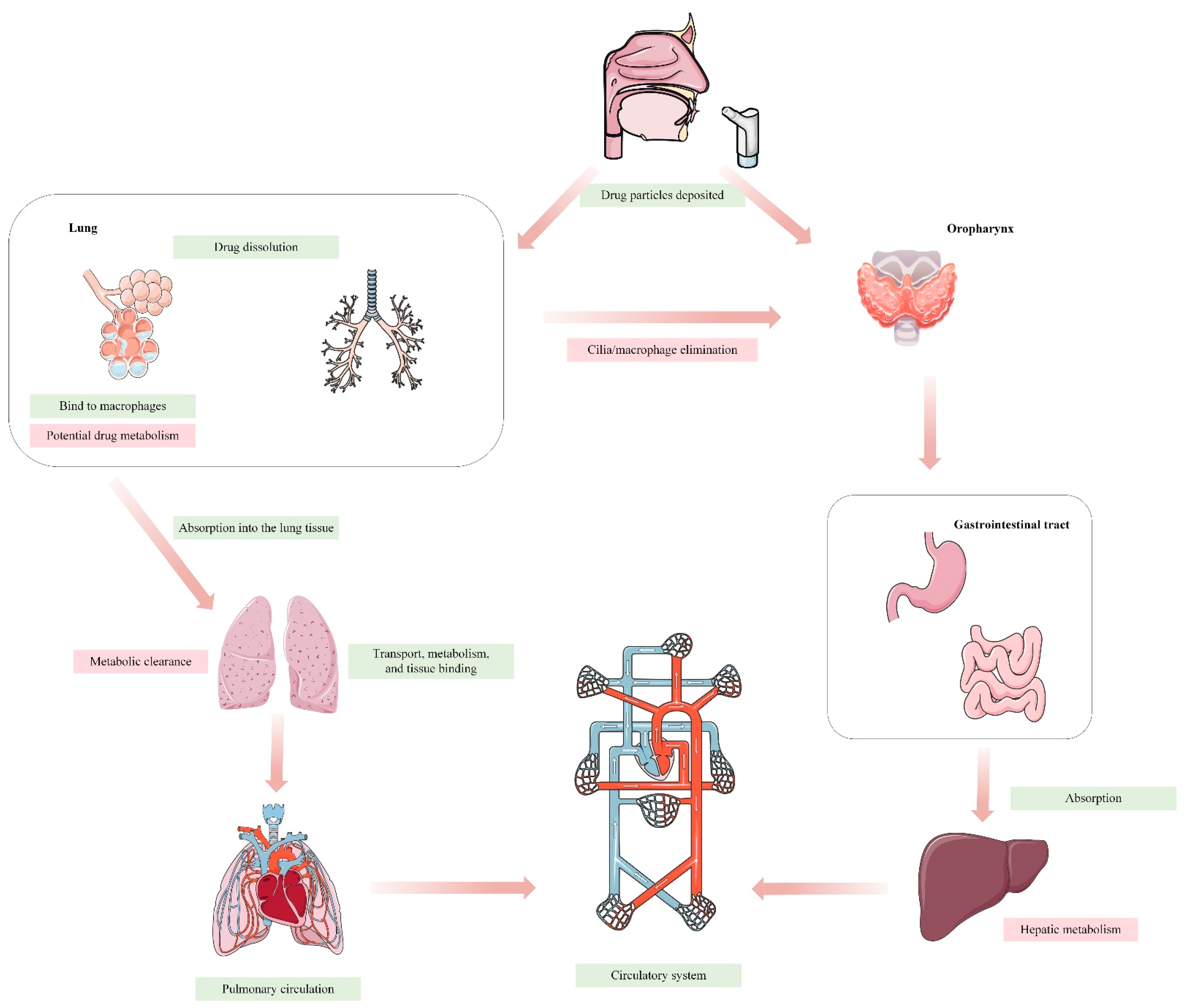 Ijms 25 04671 g001 Ijms 25 04671 g001