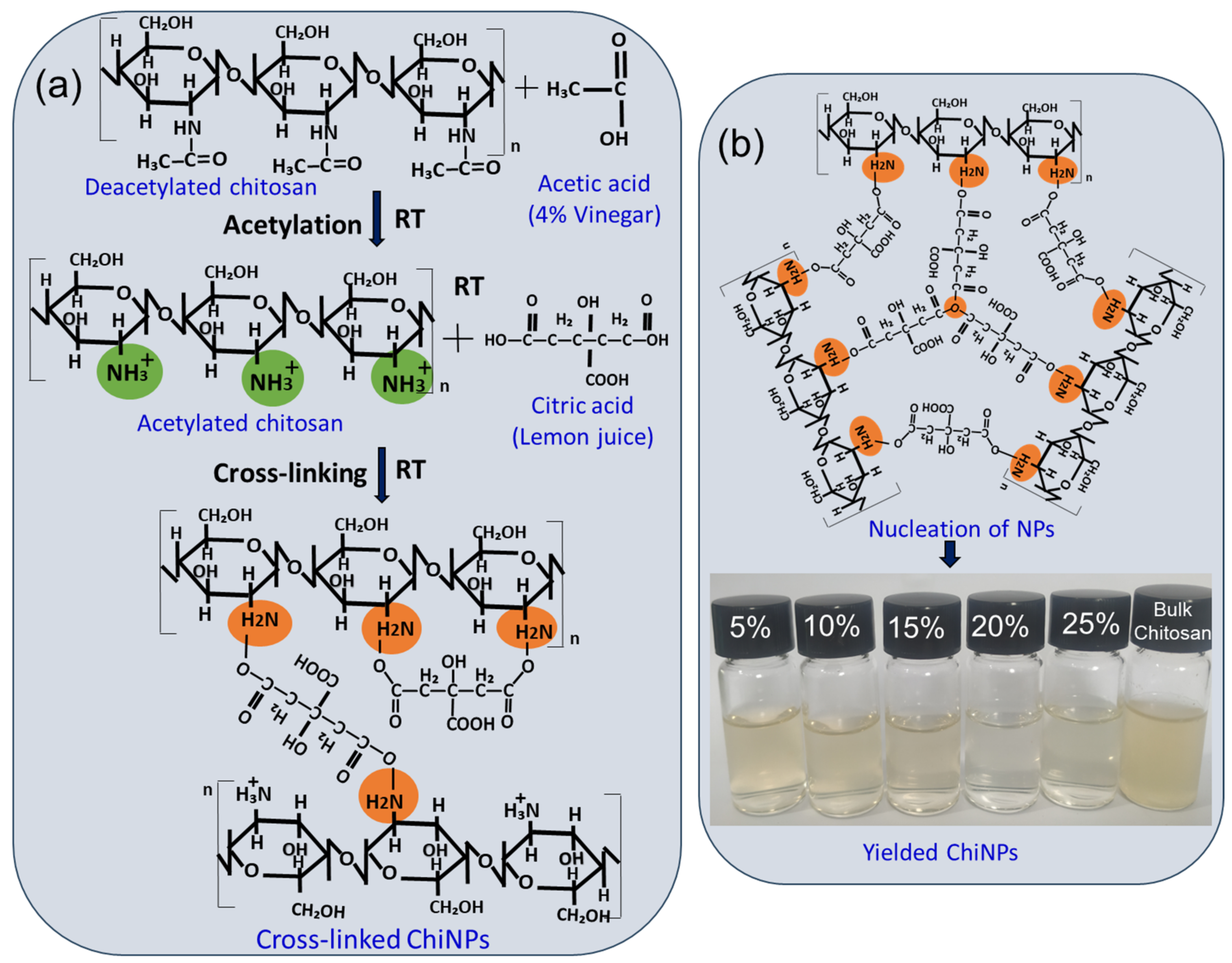 Green Synthesized Chitosan Nanoparticles for Controlling Multidrug ...