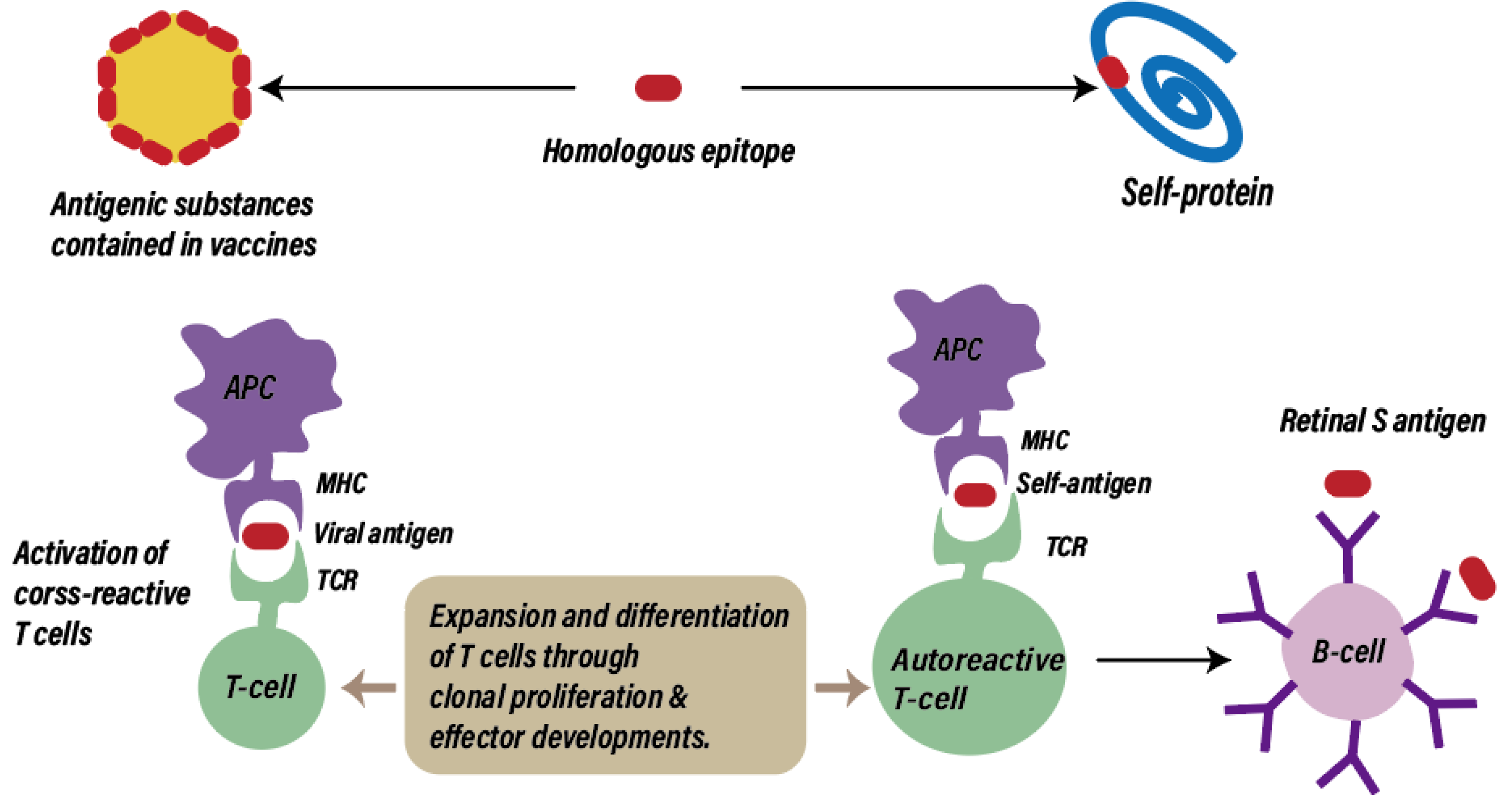 Ijms 25 04755 g003 Ijms 25 04755 g003