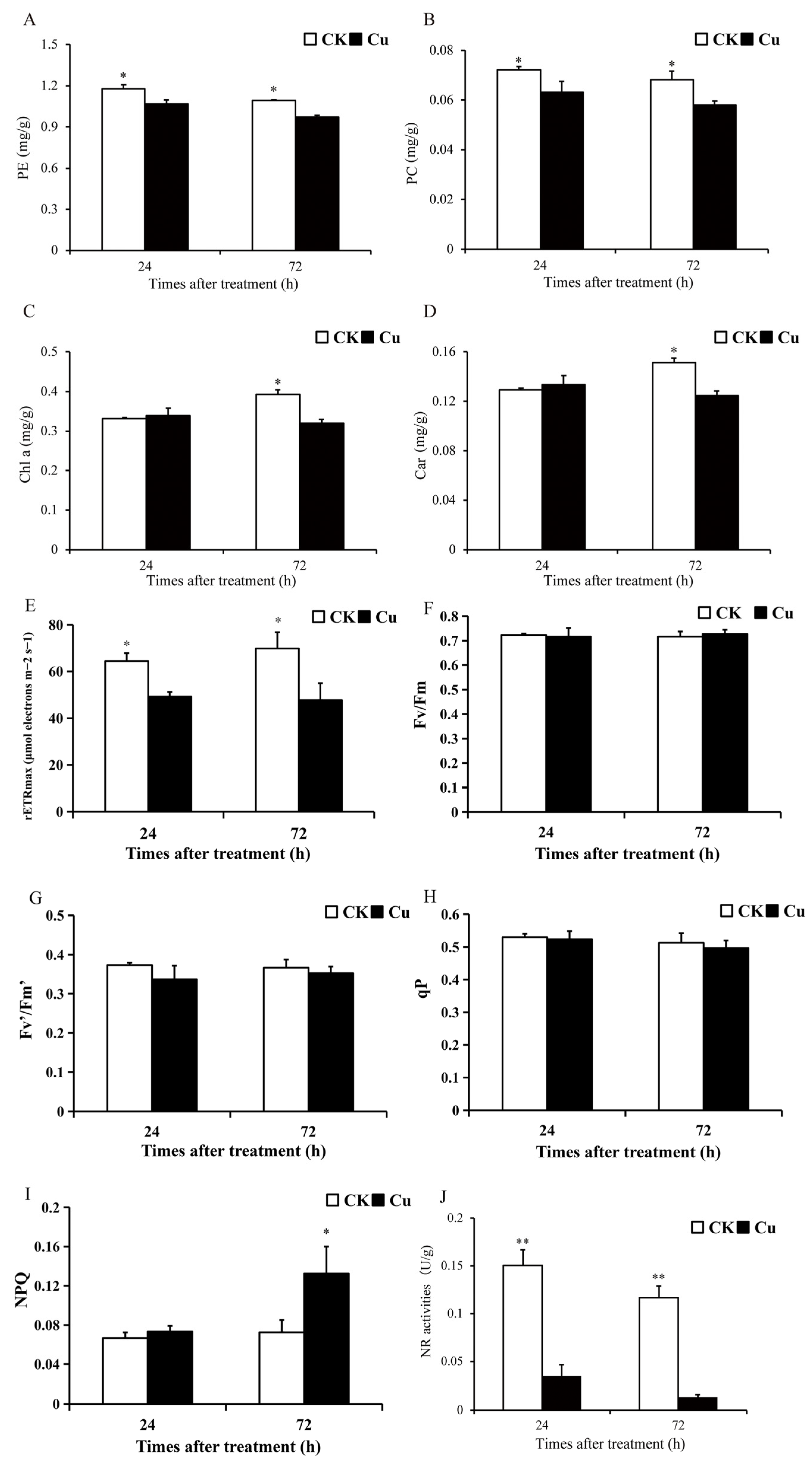 Ijms 25 04770 g001 Ijms 25 04770 g001