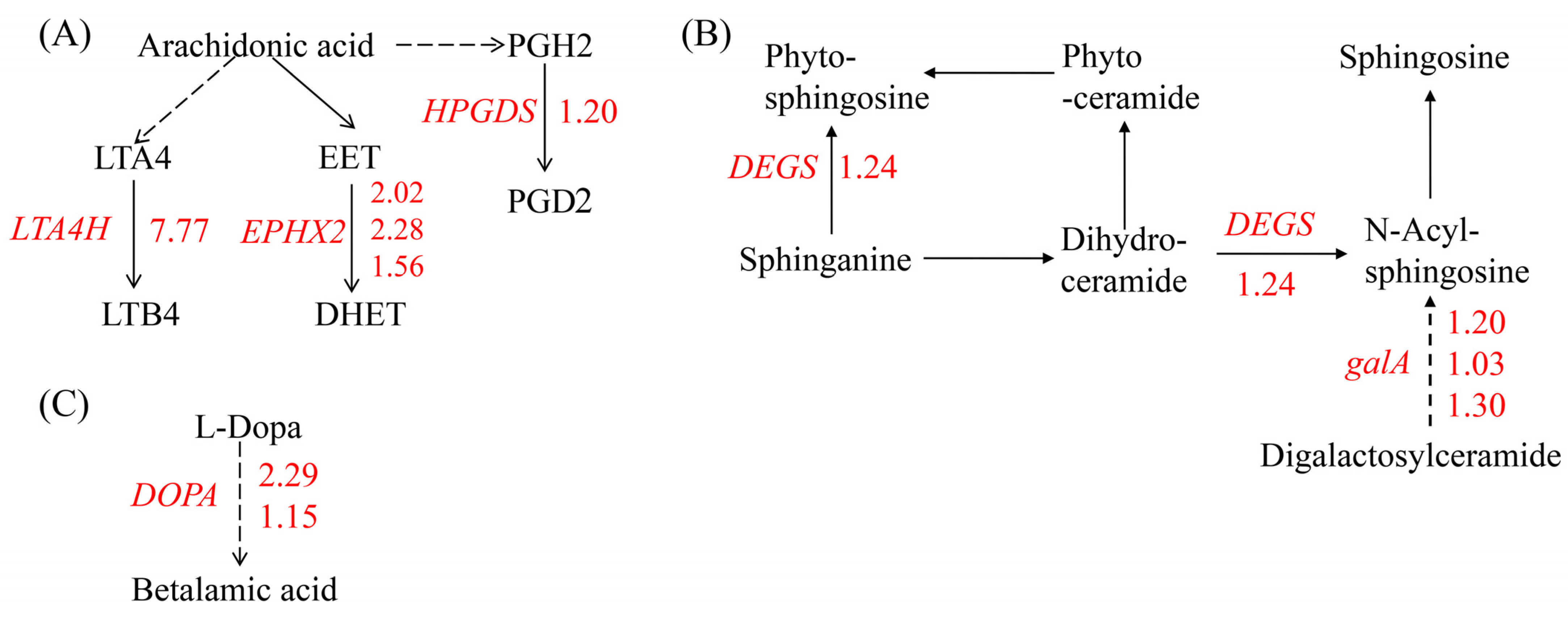Ijms 25 04770 g003 Ijms 25 04770 g003