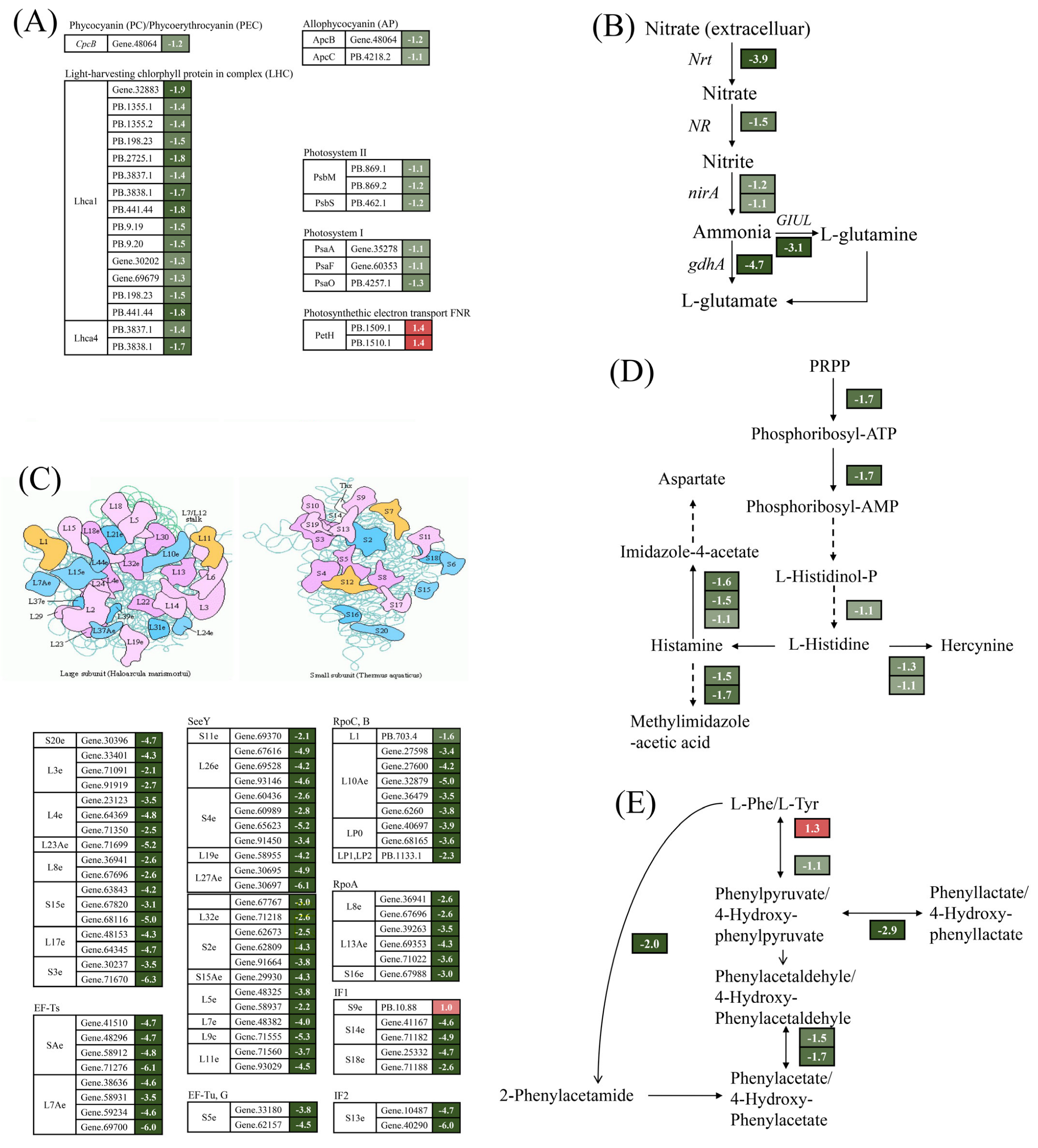 Ijms 25 04770 g004 Ijms 25 04770 g004