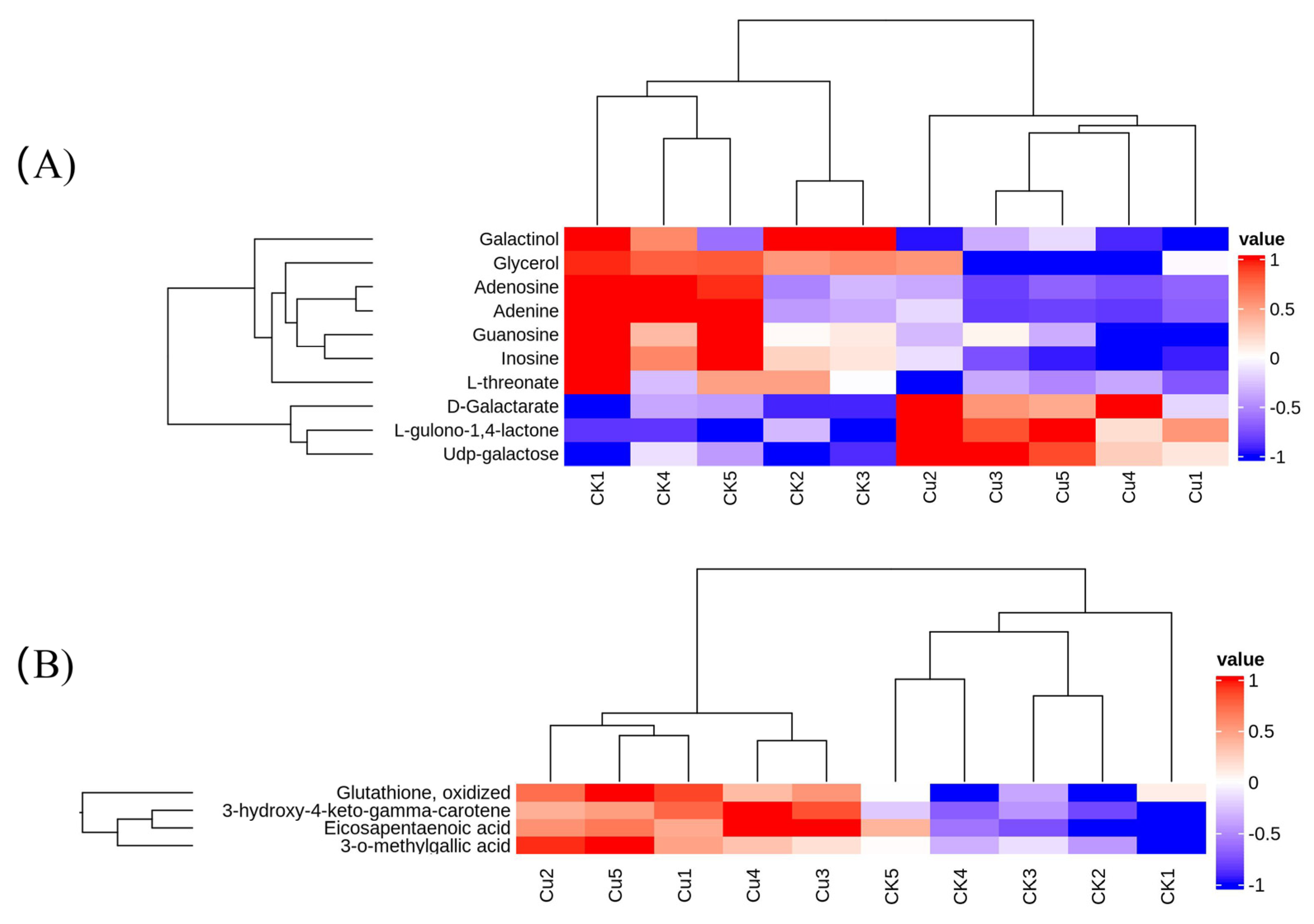 Ijms 25 04770 g005 Ijms 25 04770 g005