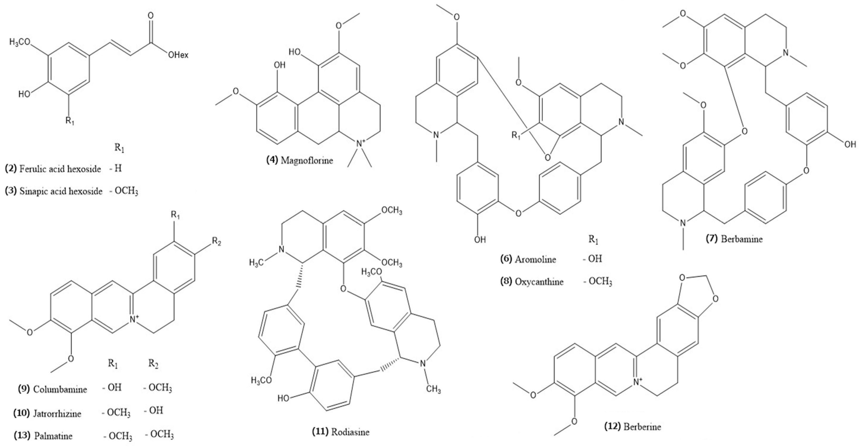 Ijms 25 04786 g006 Ijms 25 04786 g006